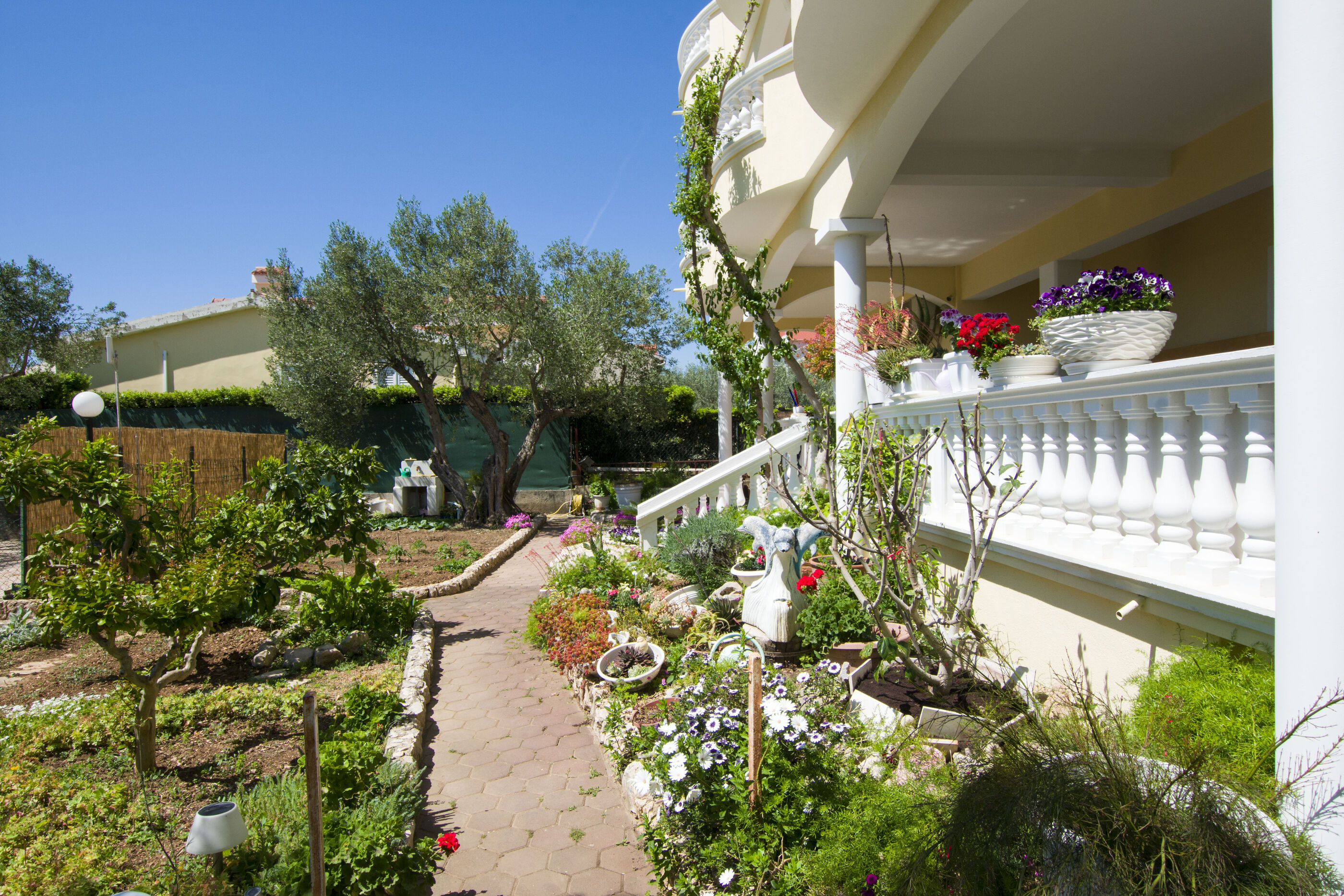 Photo of Apartments Dandelion