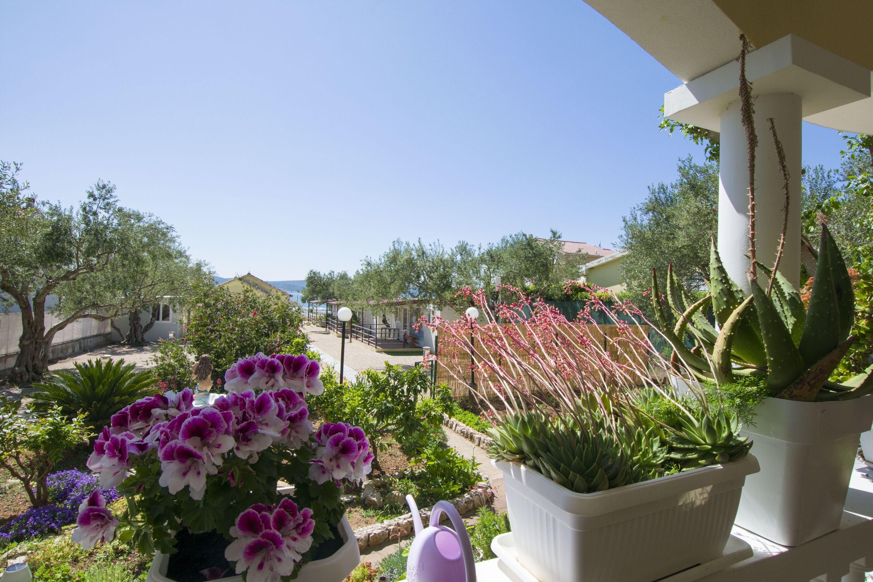 Photo of Mobile home Dandelion
