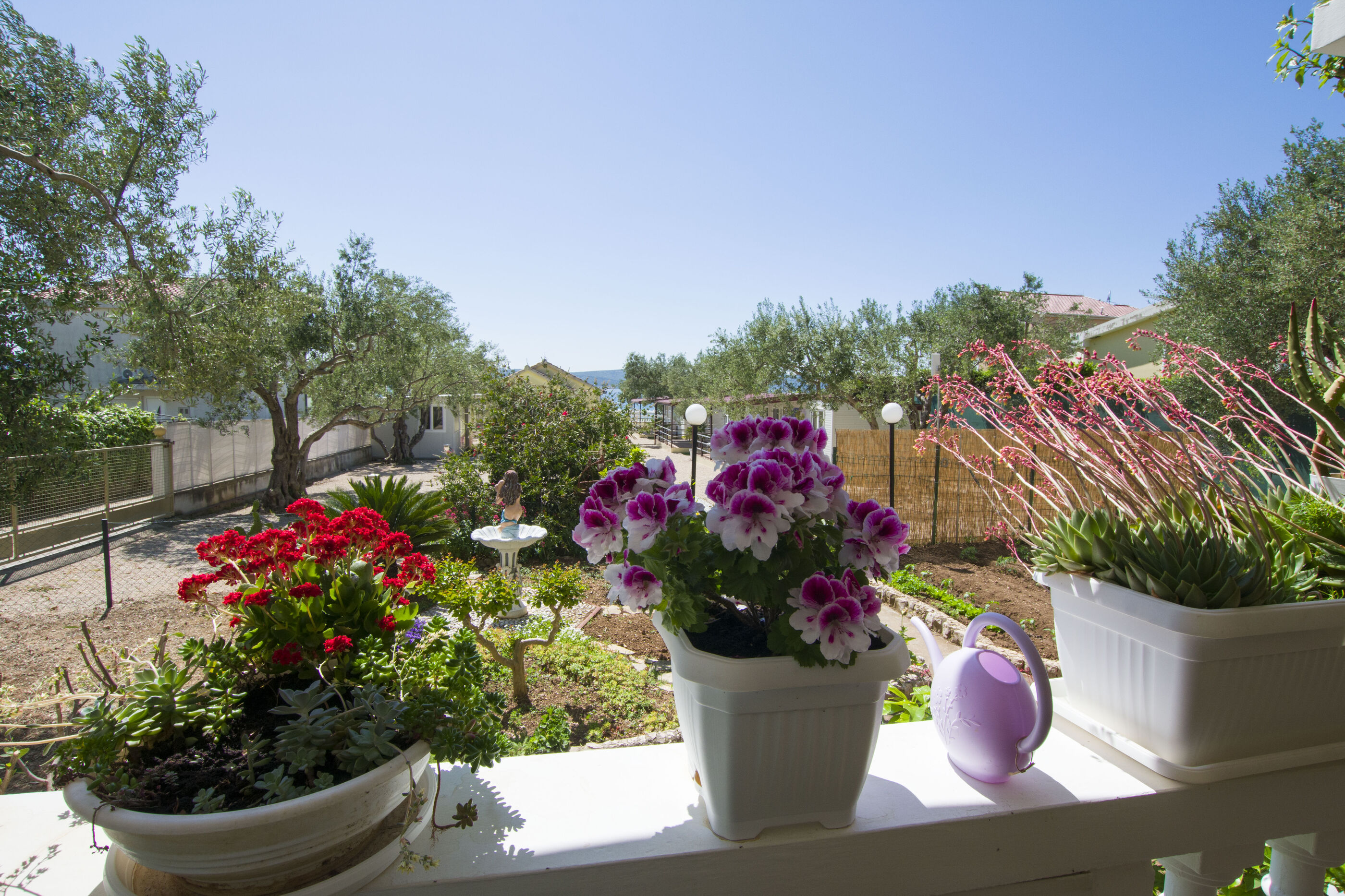 Photo of Mobile home Dandelion