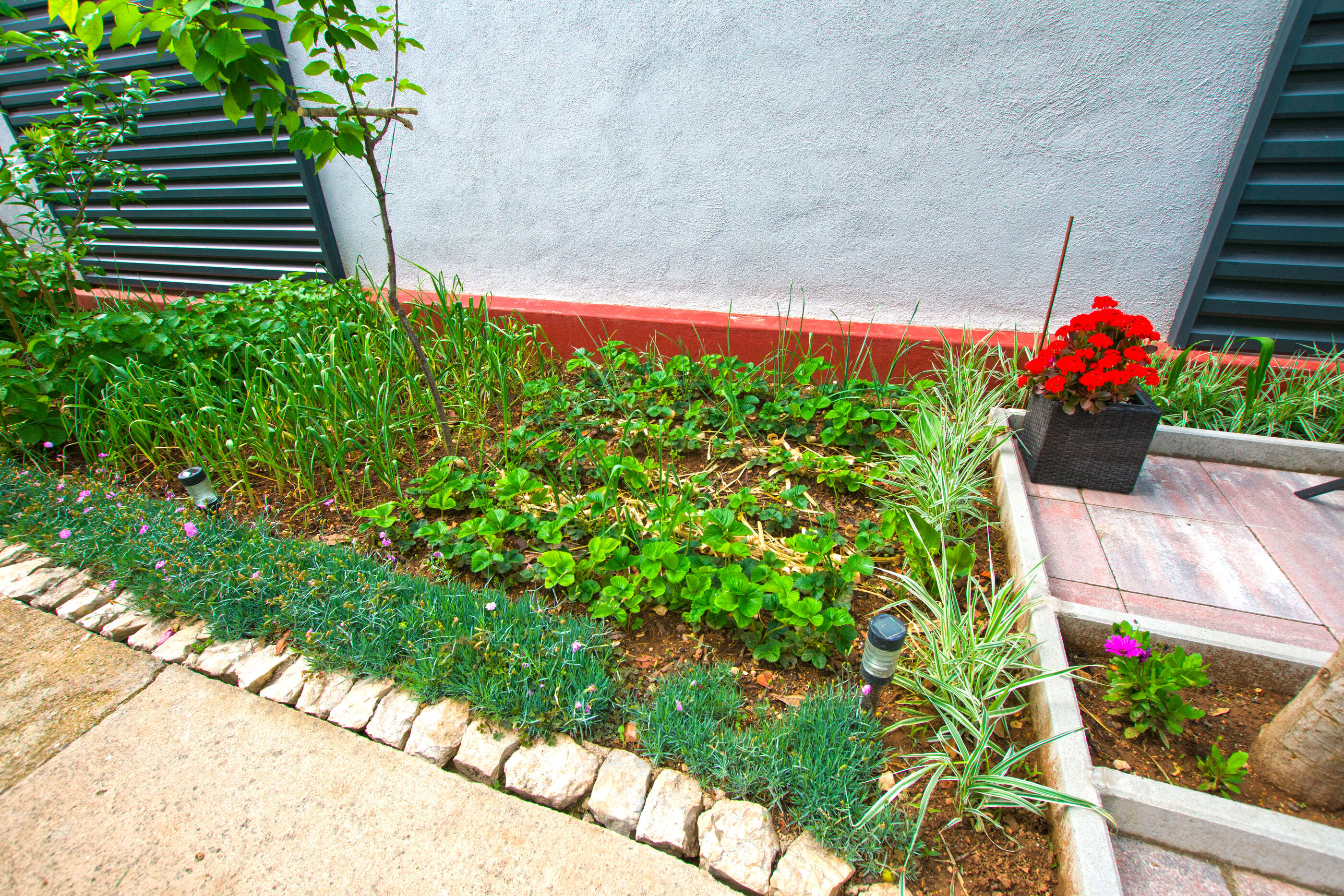 Photo of Apartment Koko