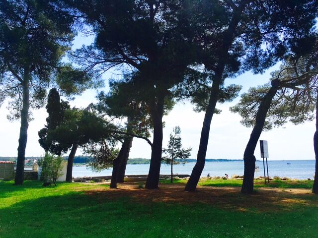 Photo of Apartment Mirella