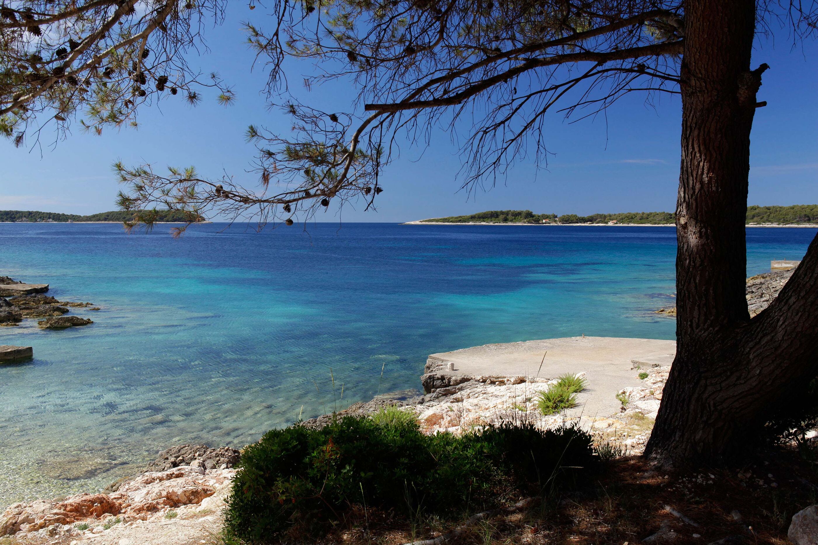 Photo of Apartments Doro