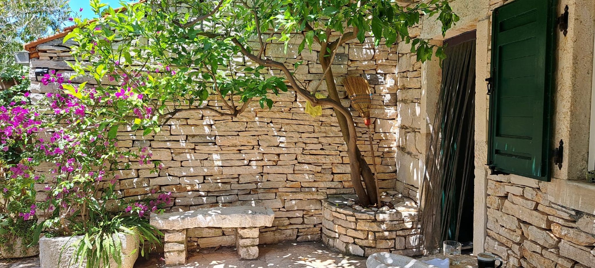 Photo of House Darin dvor