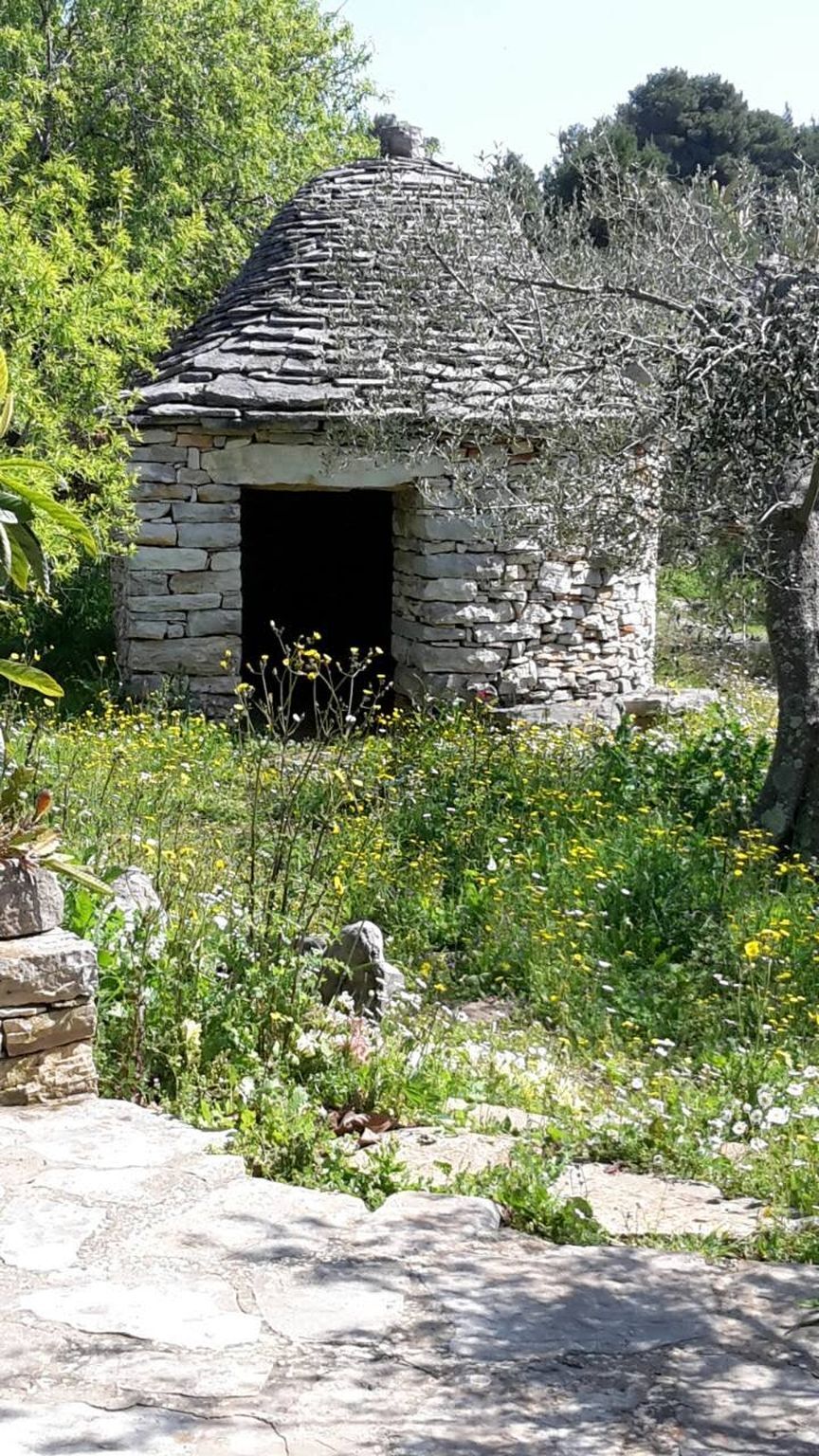 Photo of House Darin dvor