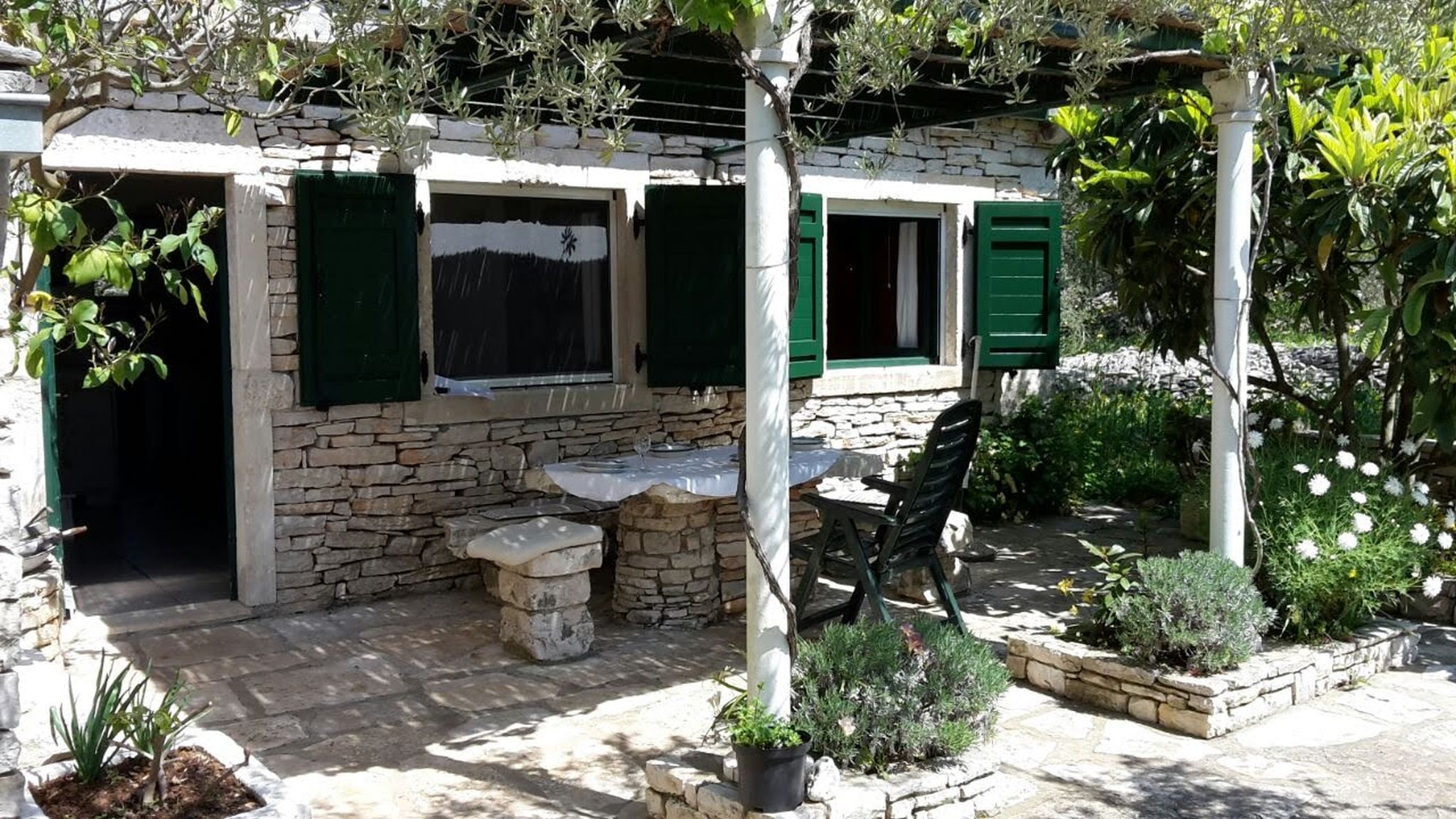 Photo of House Darin dvor