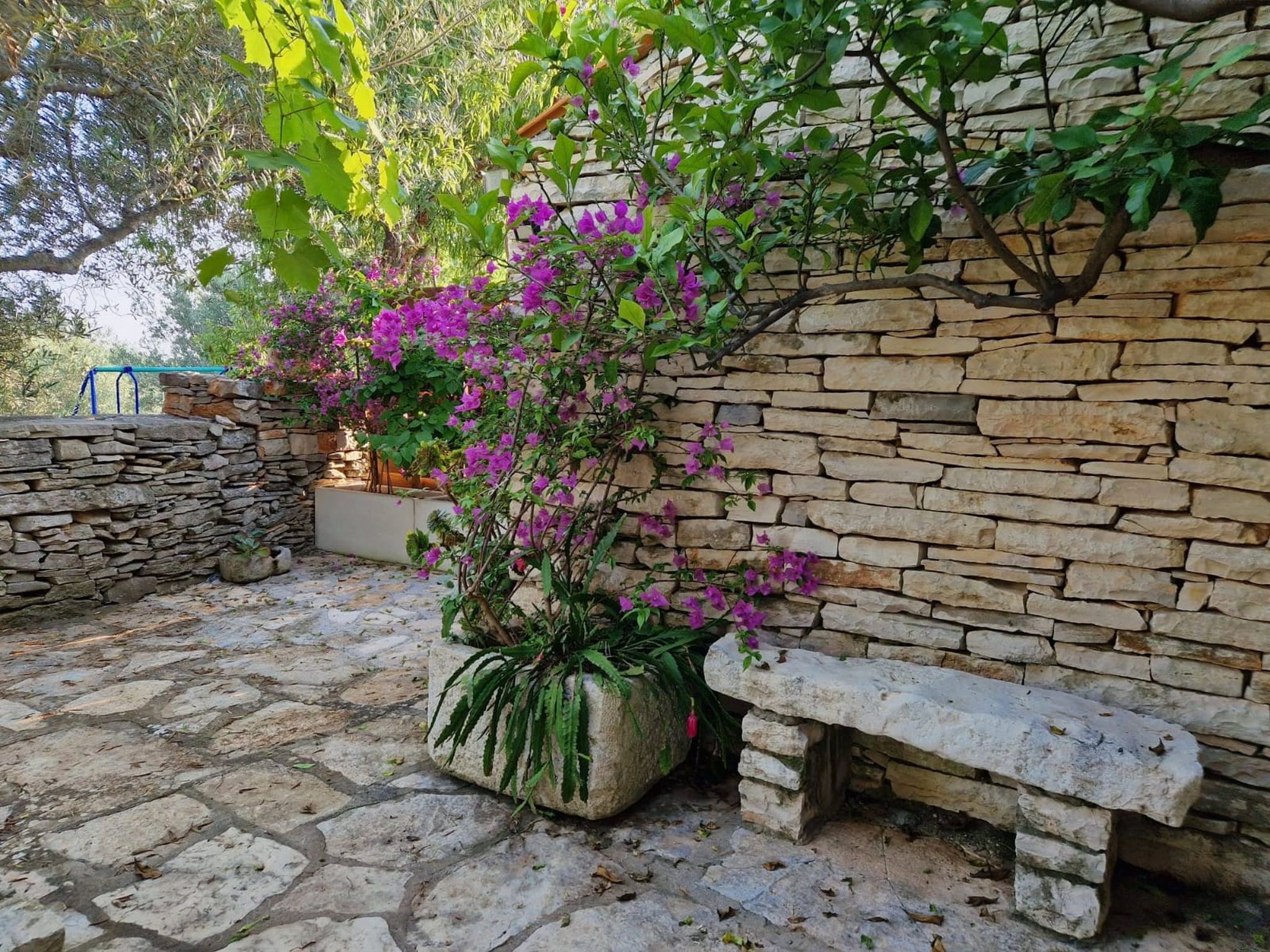 Photo of House Darin dvor