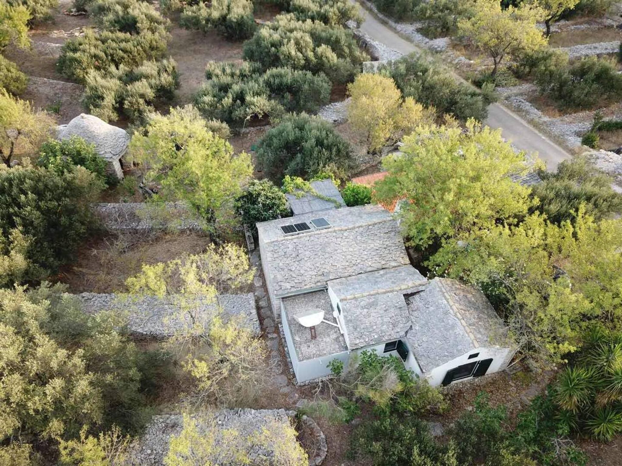 Photo of House Darin dvor