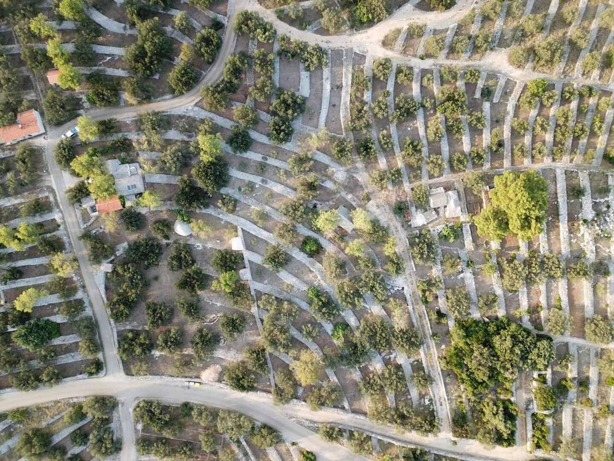 House Darin dvor Accommodation in Korcula