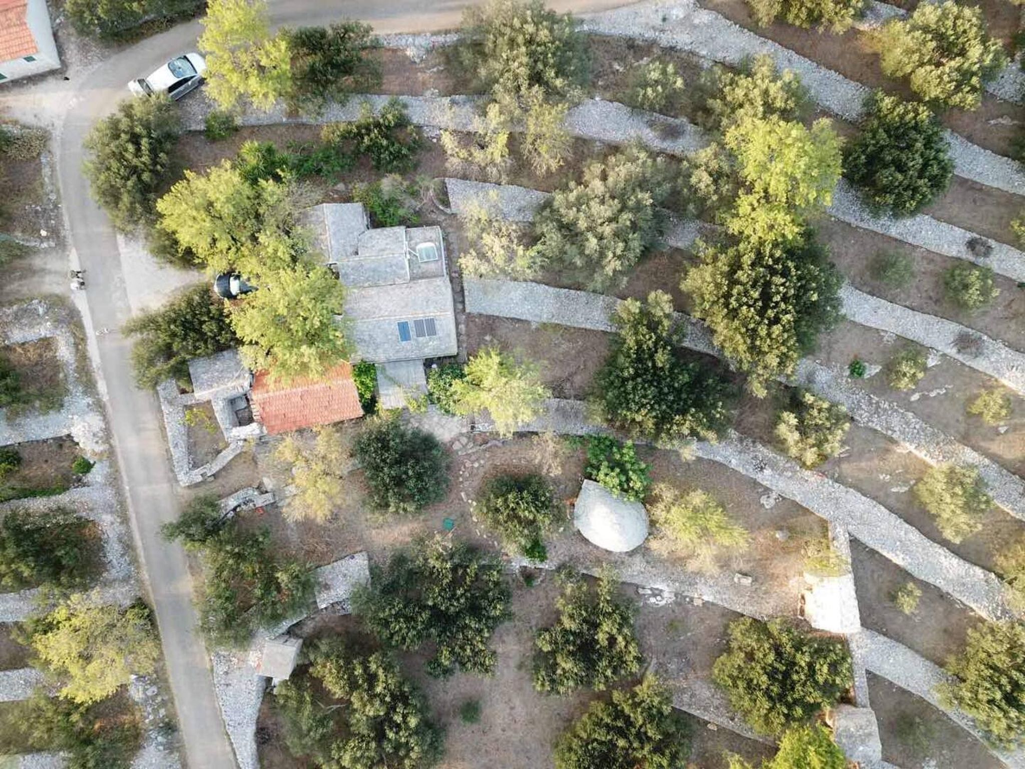 Photo of House Darin dvor