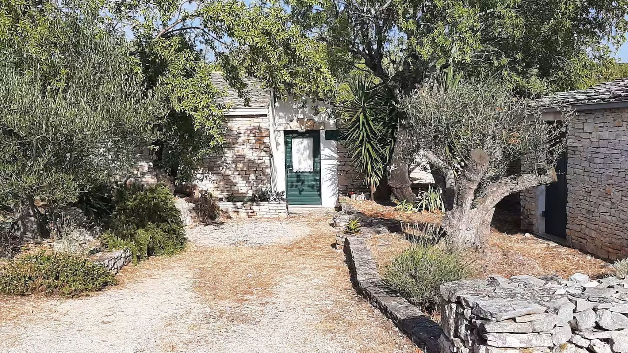 Photo of House Darin dvor