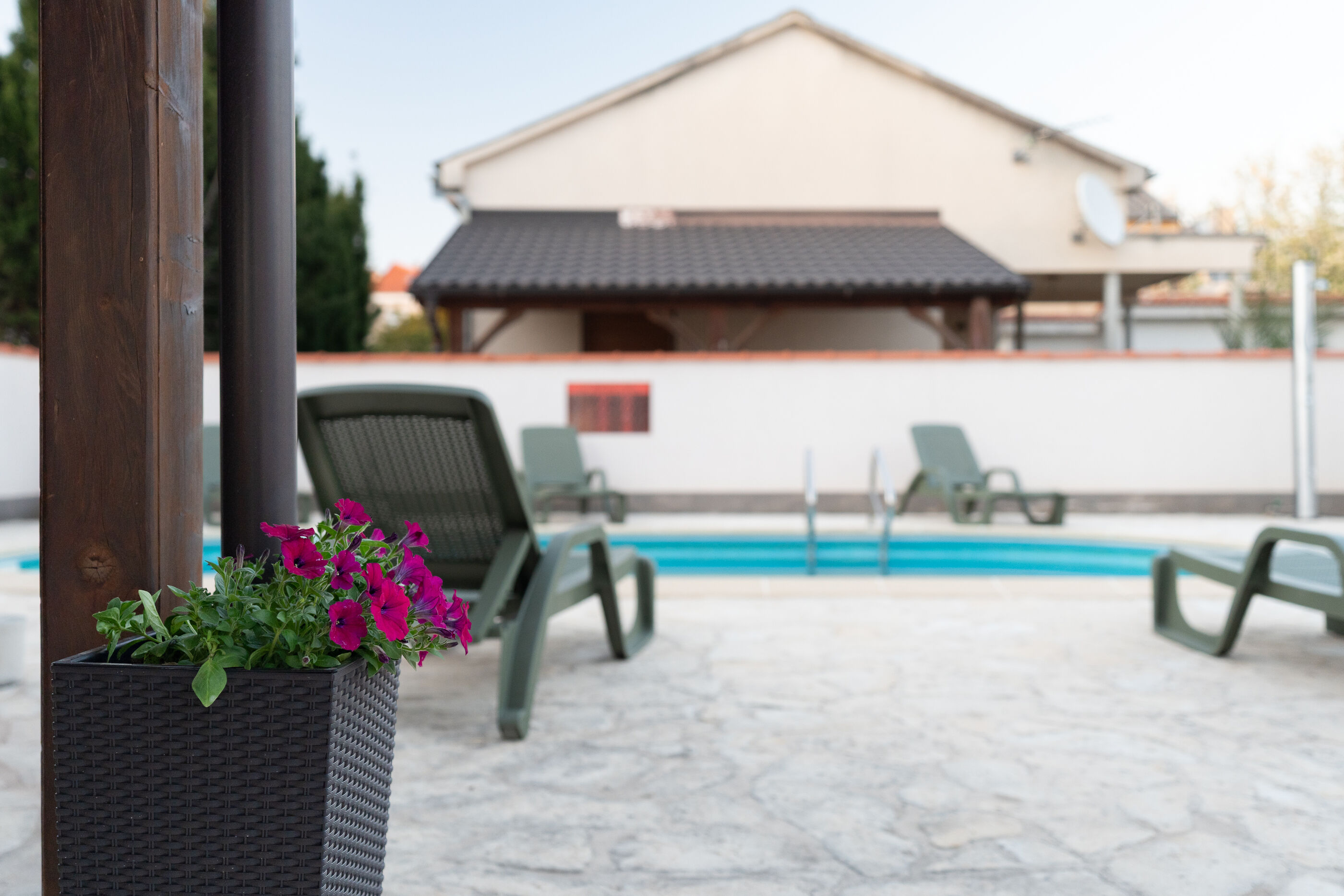 Photo of Apartments Kralj