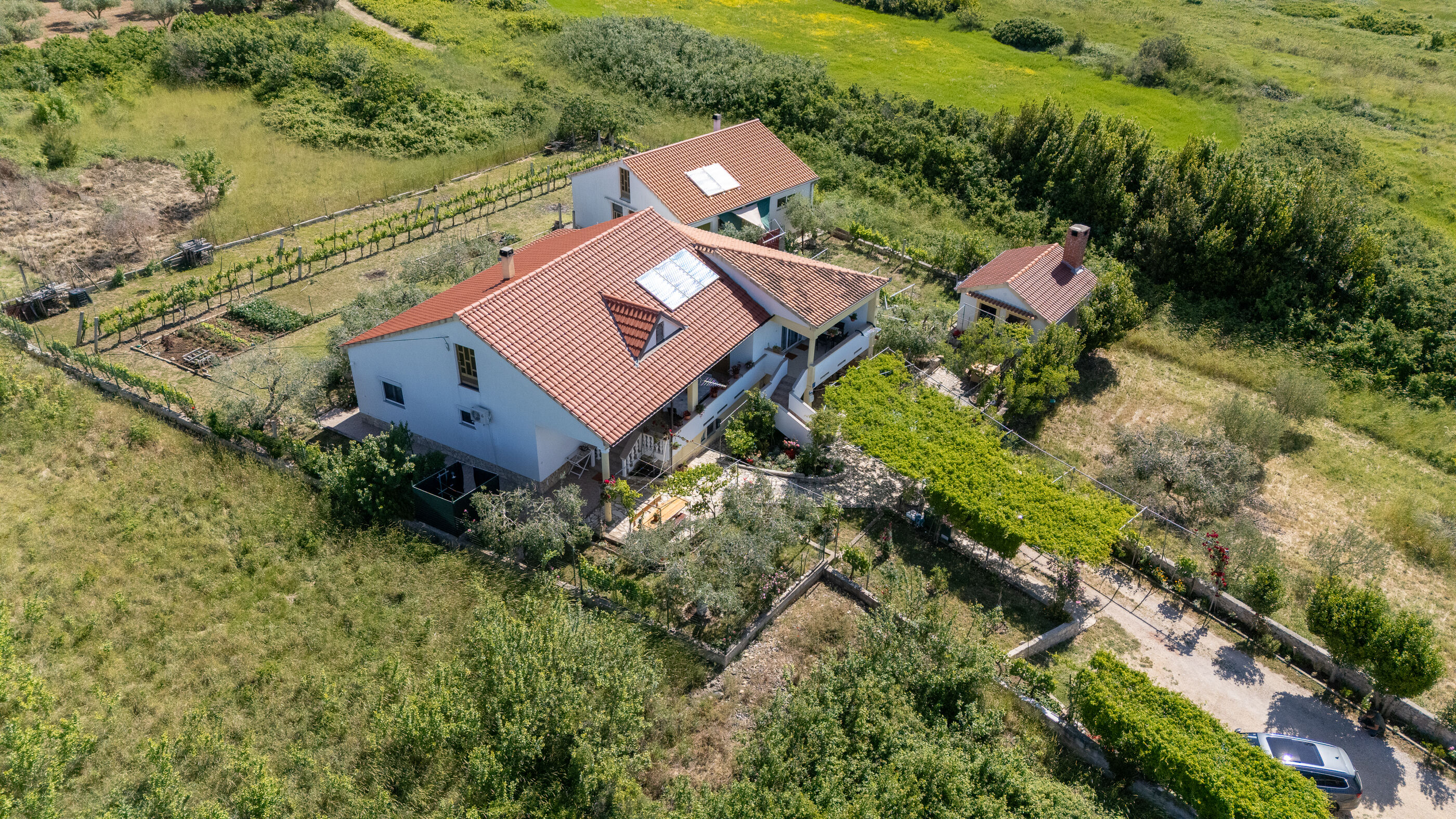 Photo of Apartment Danijela