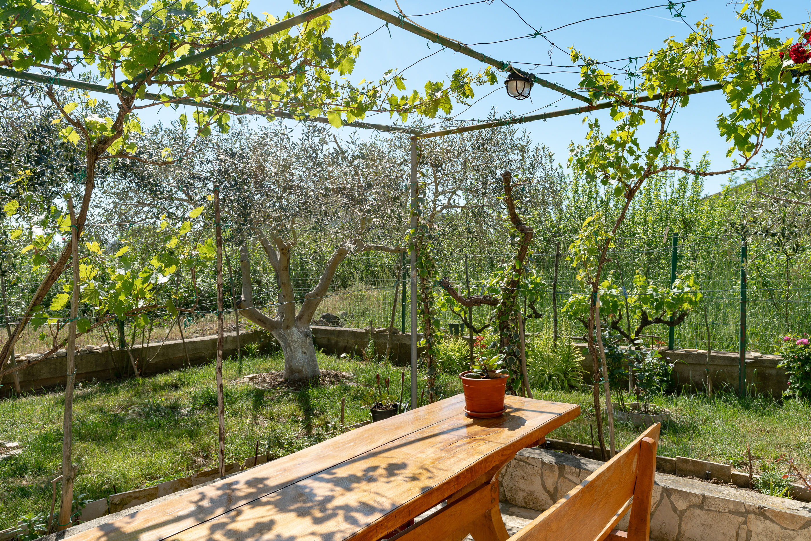 Photo of Apartment Danijela