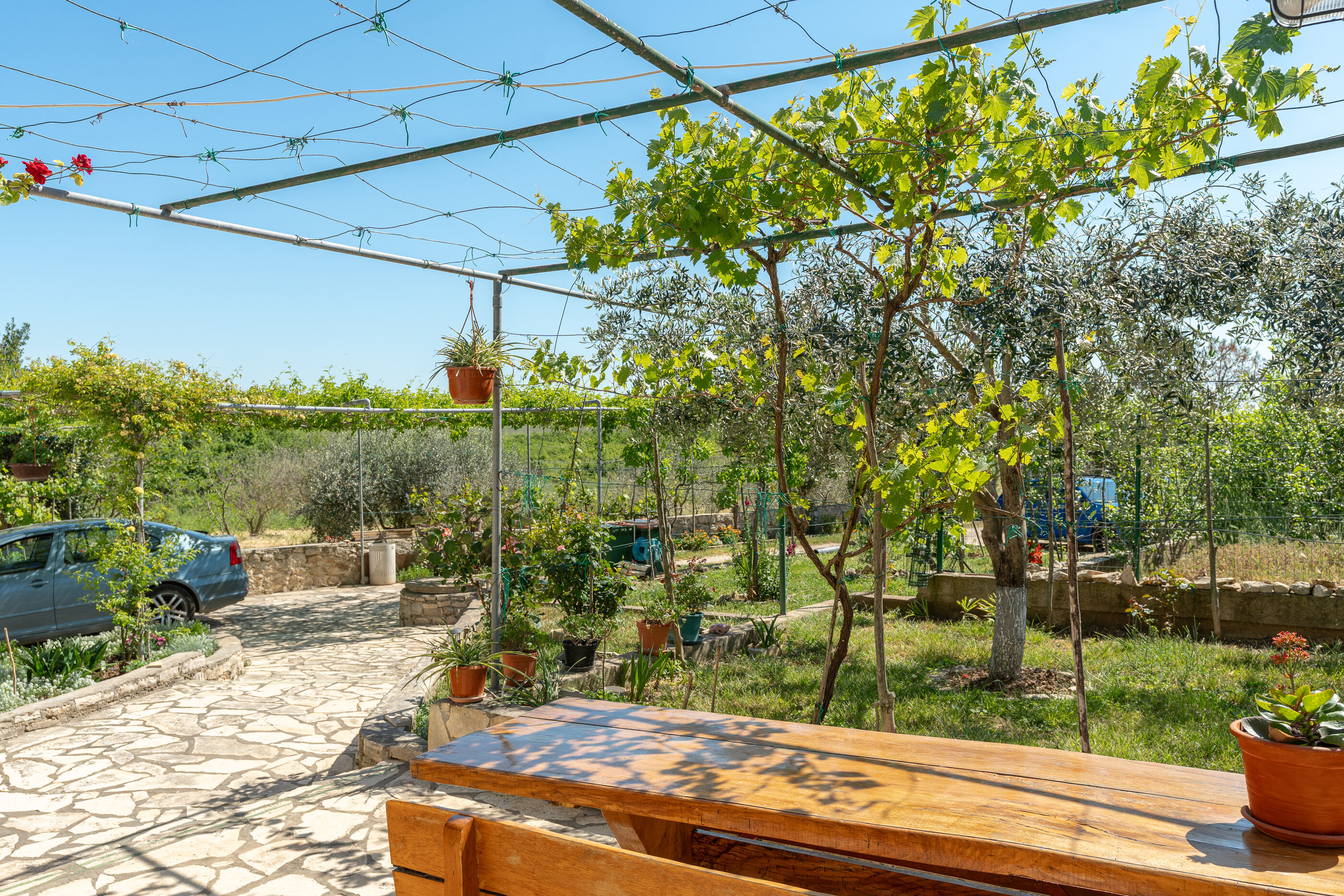 Photo of Apartment Danijela