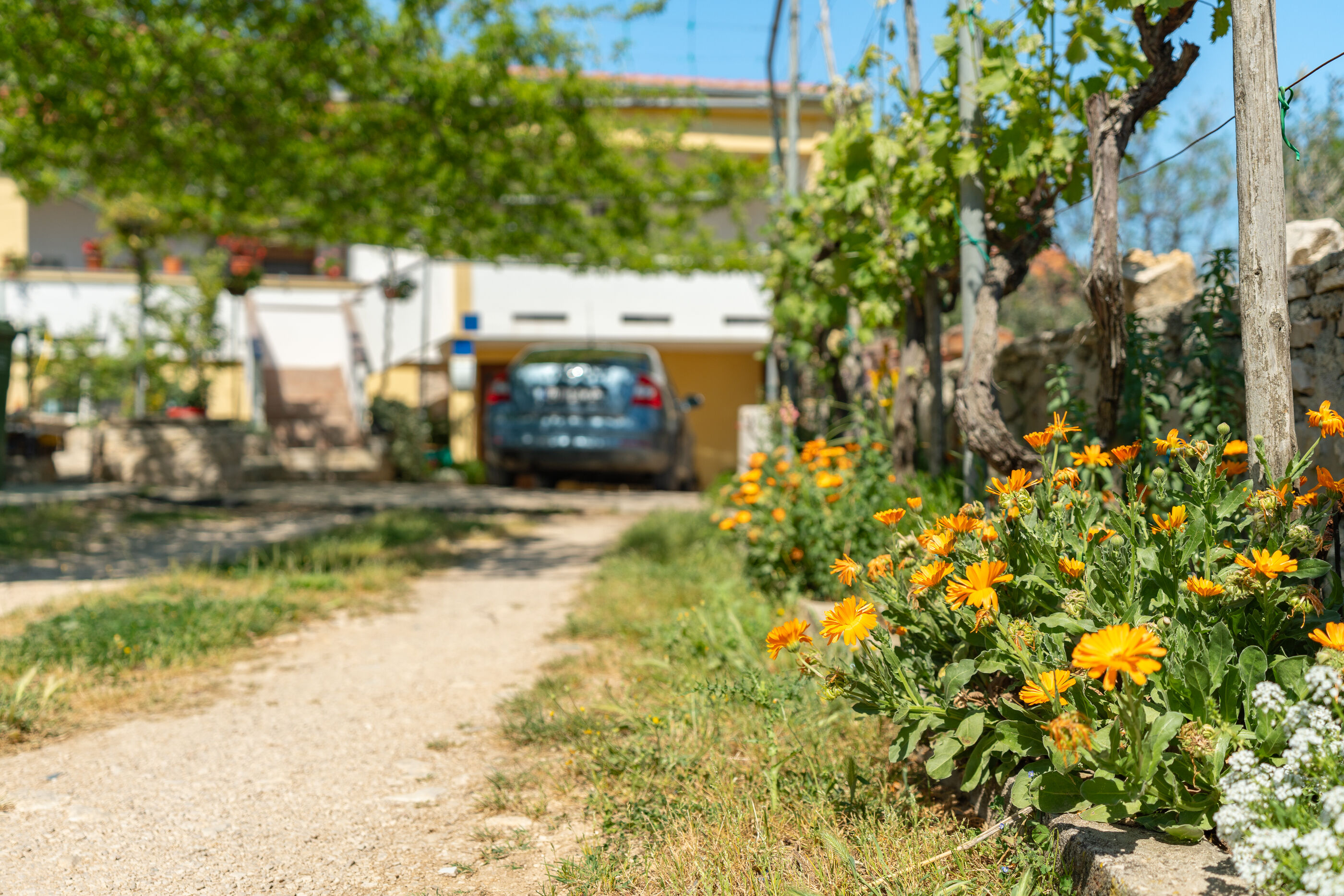 Photo of Apartment Danijela