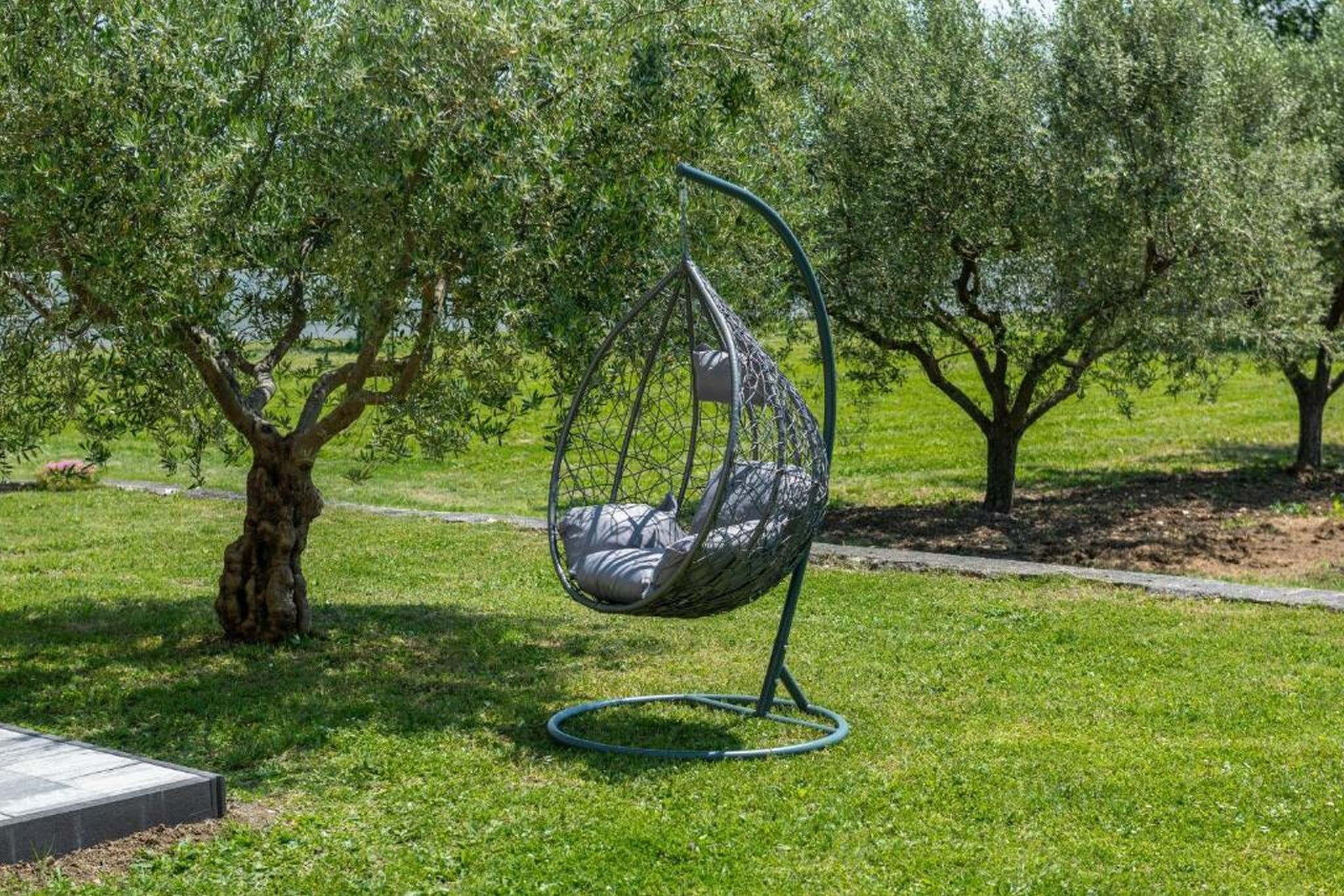 Photo of Apartment Vista Olivo