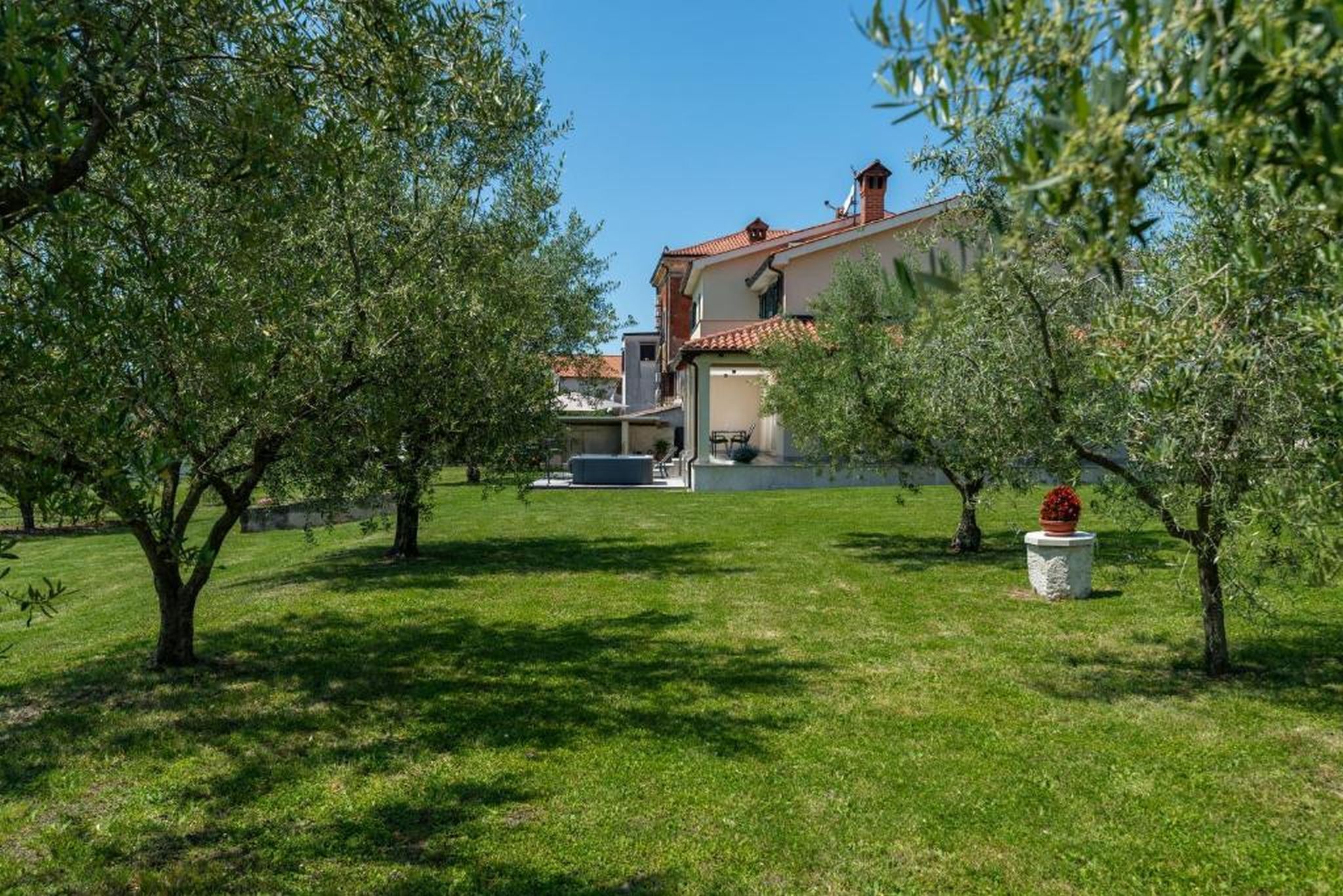 Photo of Apartment Vista Olivo