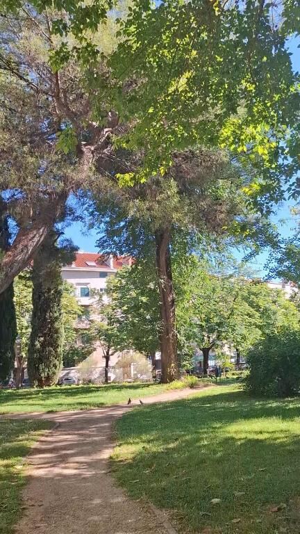 Photo of Apartment Vesna