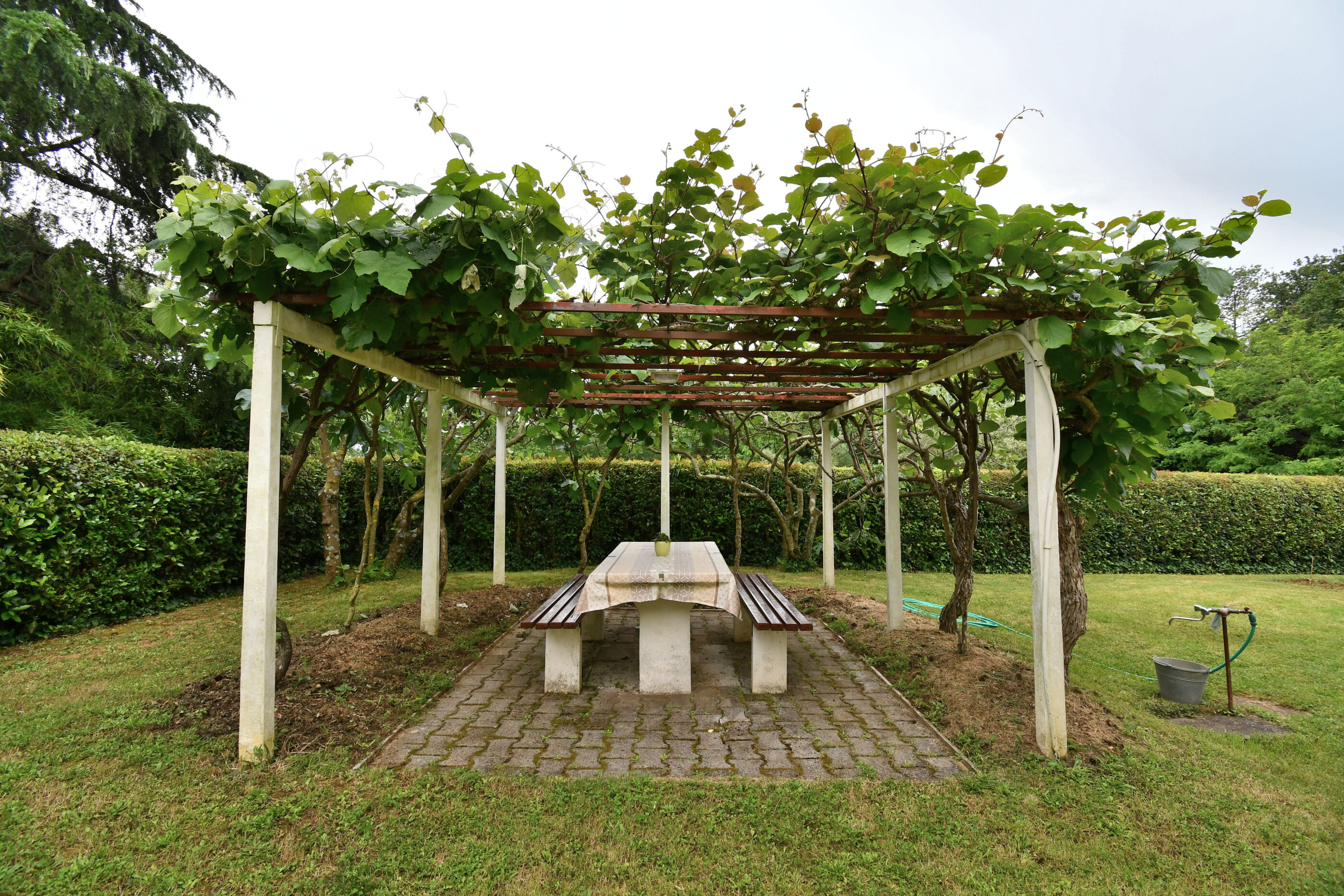 Photo of Apartment BRIJUNI