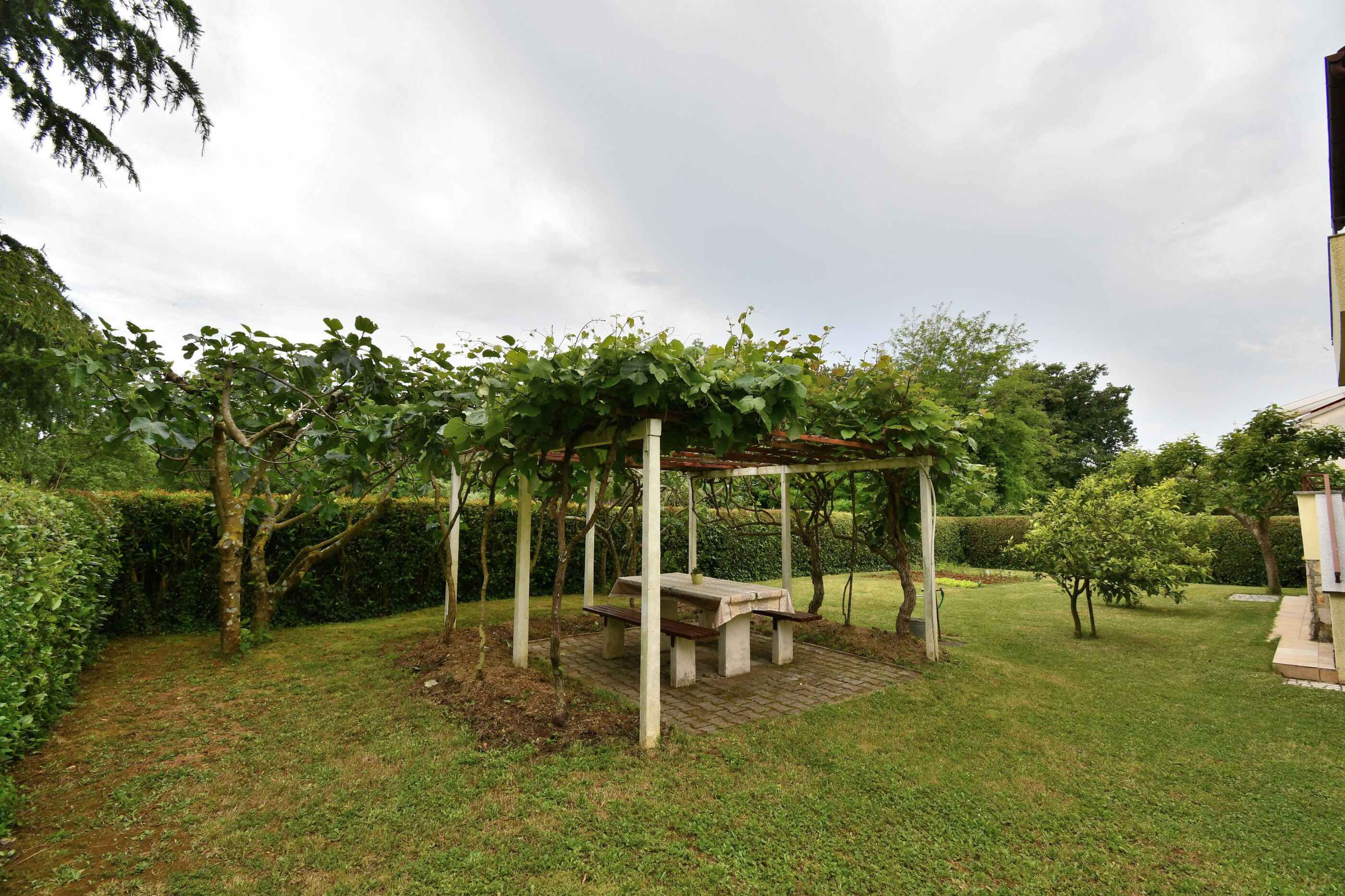 Photo of Apartment BRIJUNI