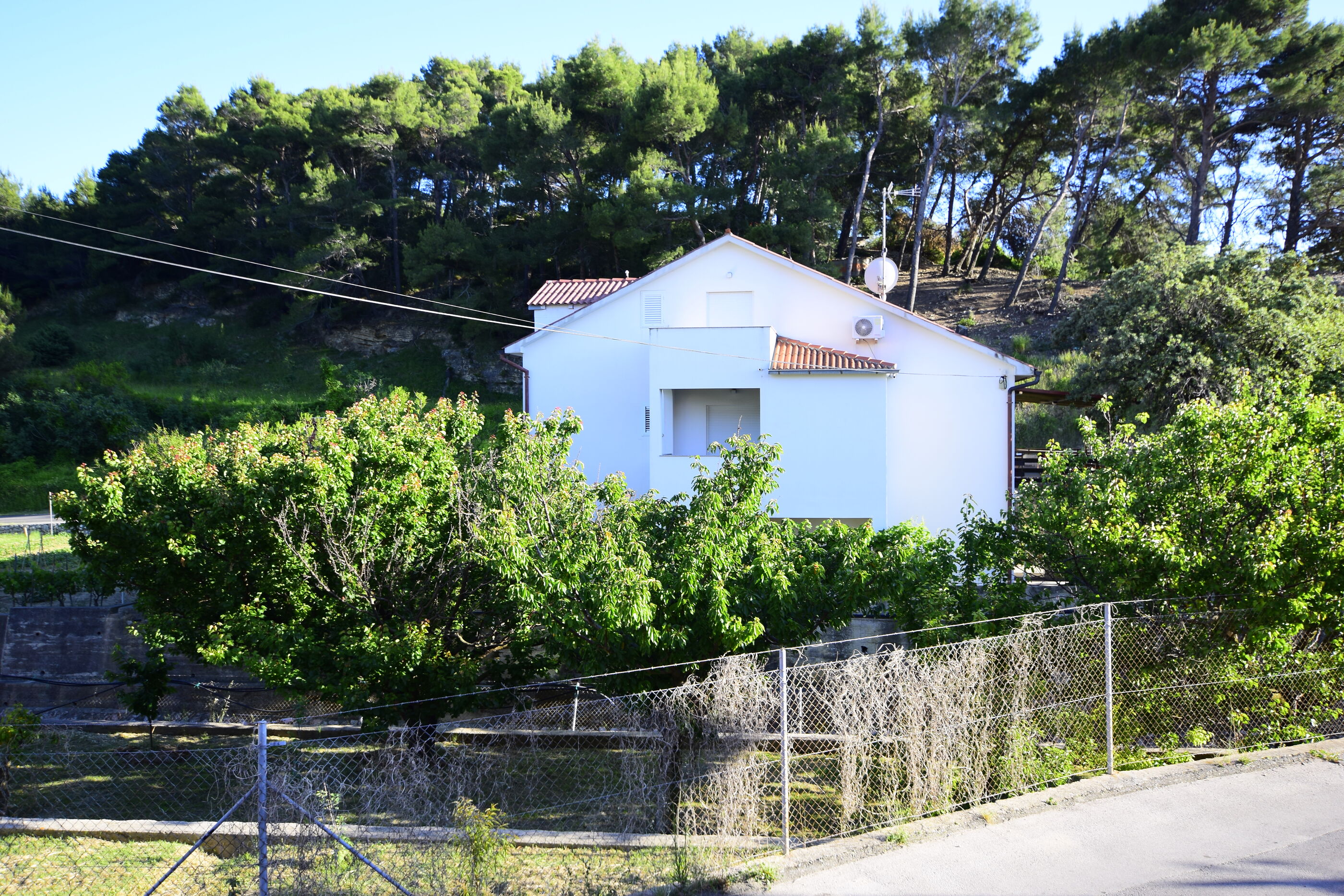 Photo of Apartment Ribaric