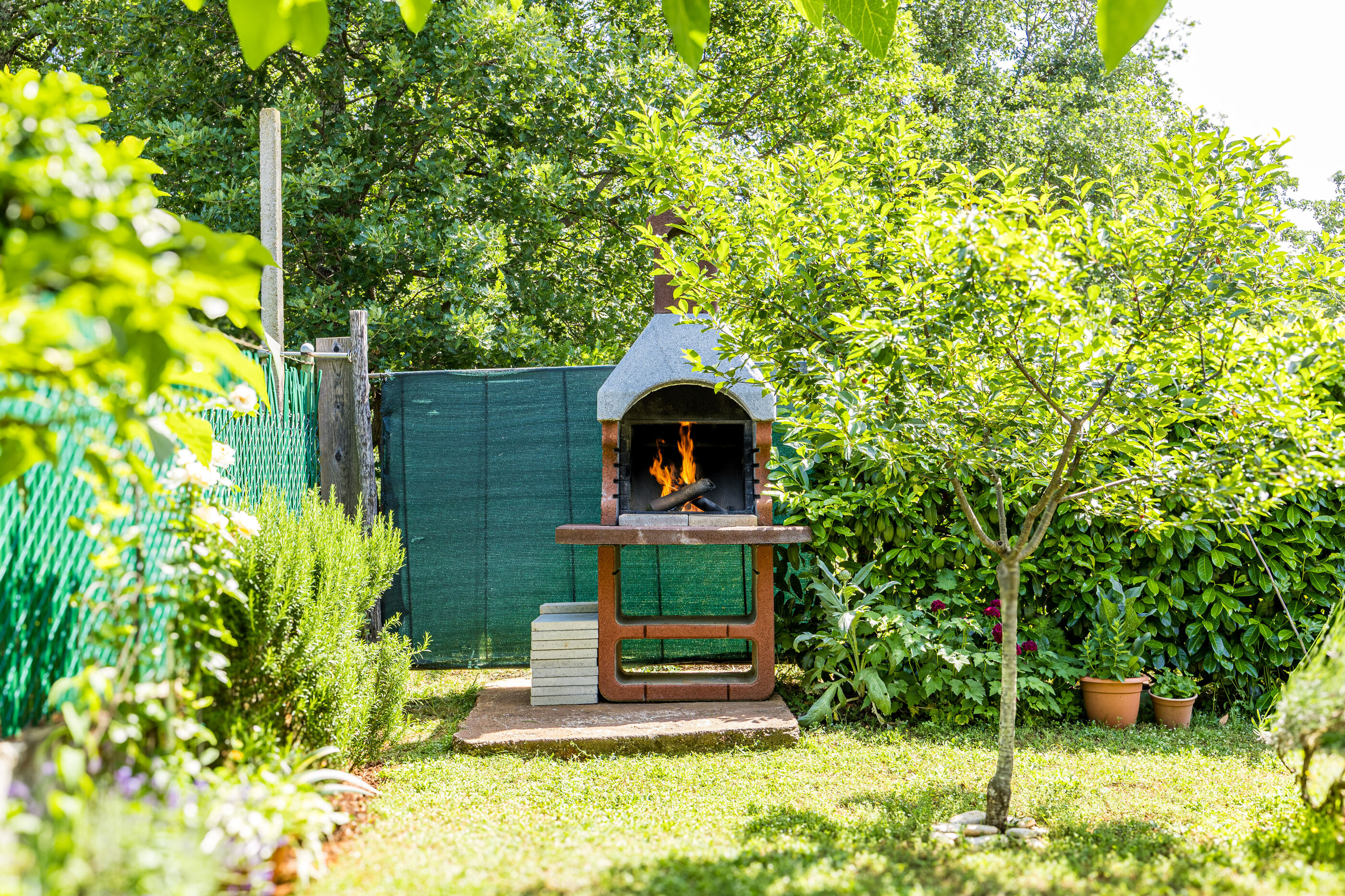 Photo of Apartments Villa Amaryllis