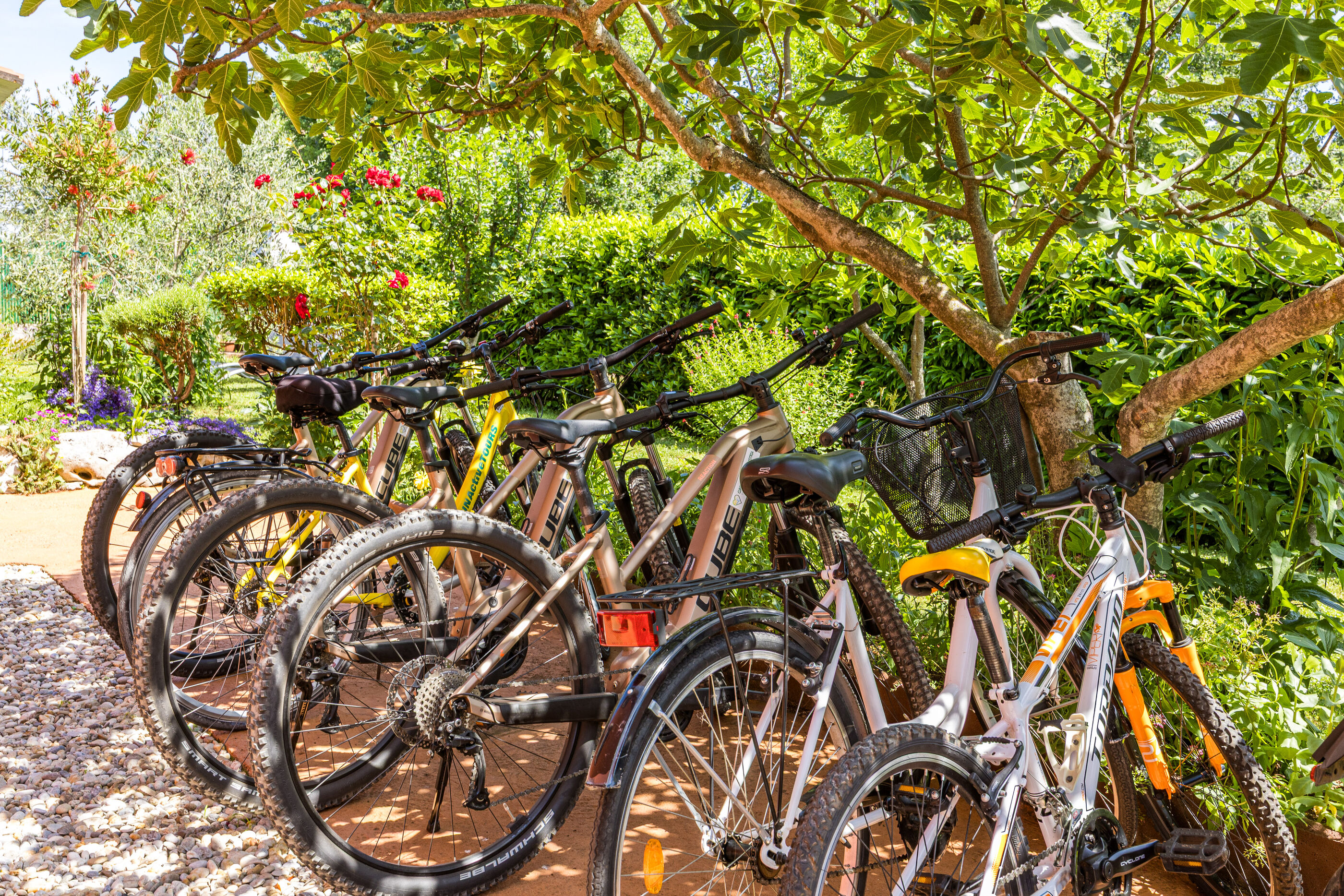 Photo of Apartments Villa Amaryllis