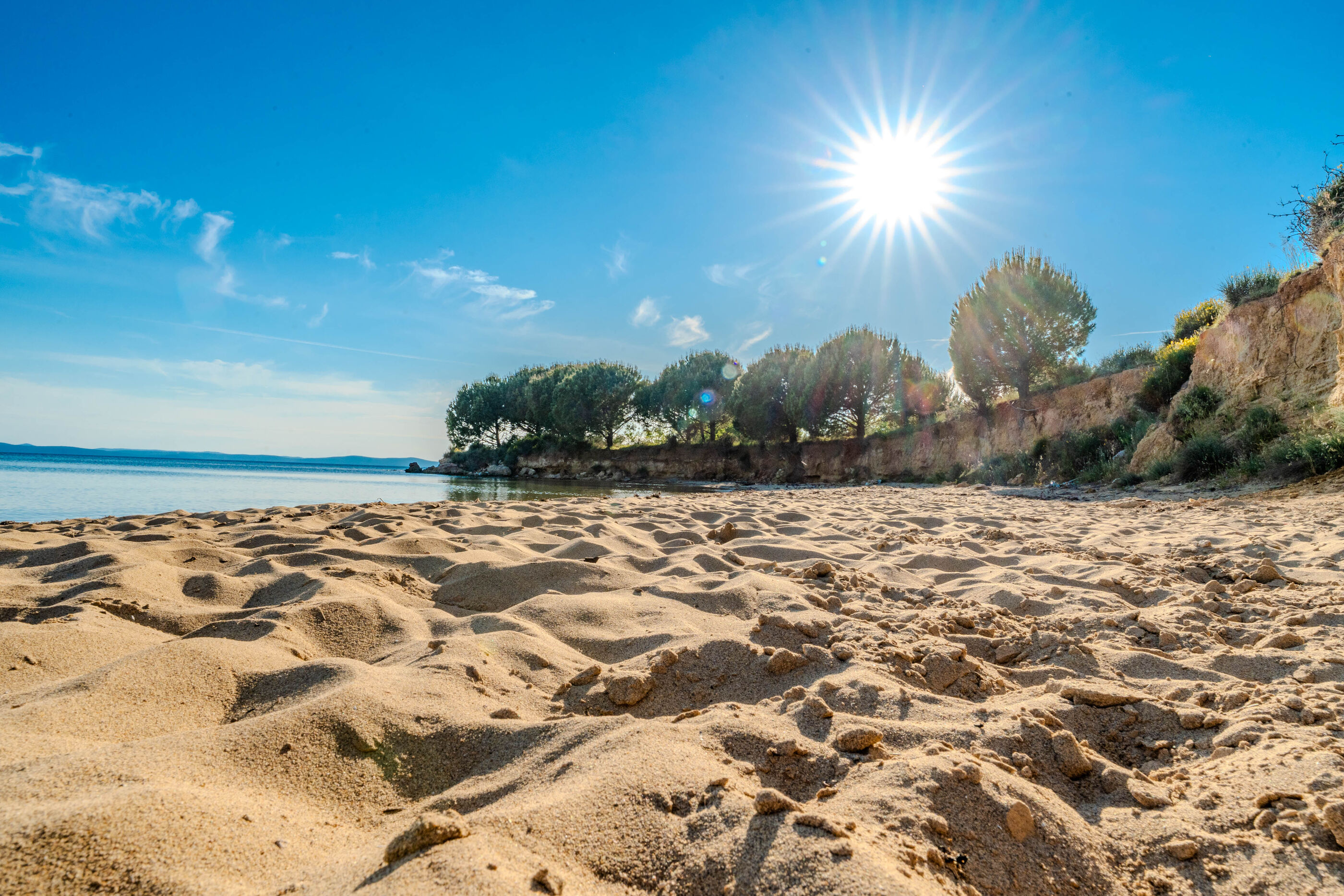 Photo of Apartments Lilly