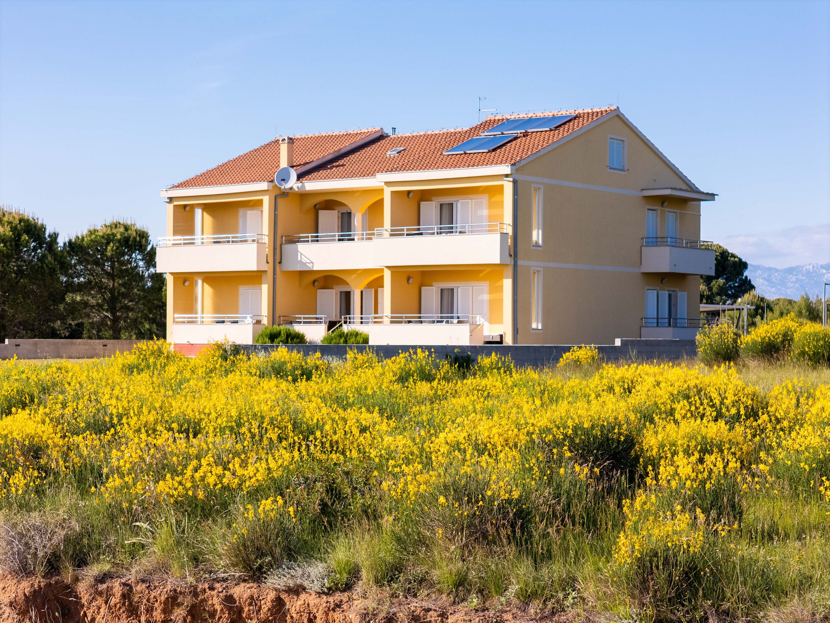 Photo of Apartments Lilly