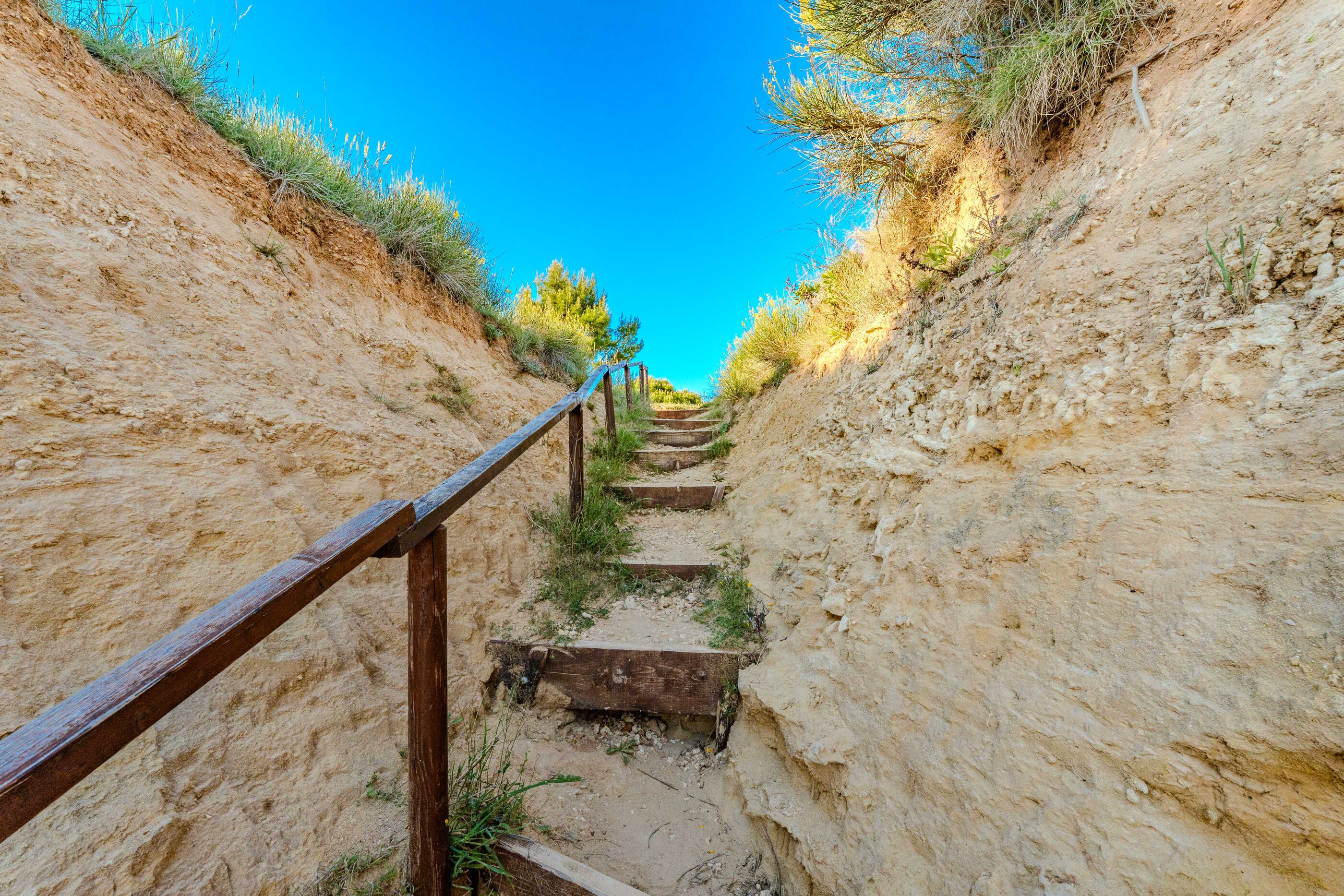 Photo of Apartments Lilly