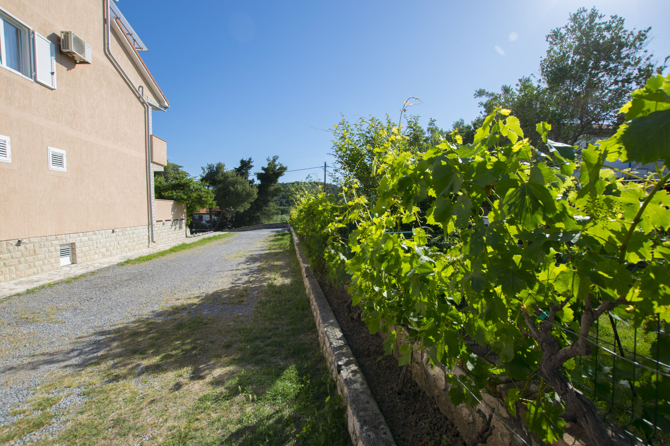 Photo of Apartments Lucia