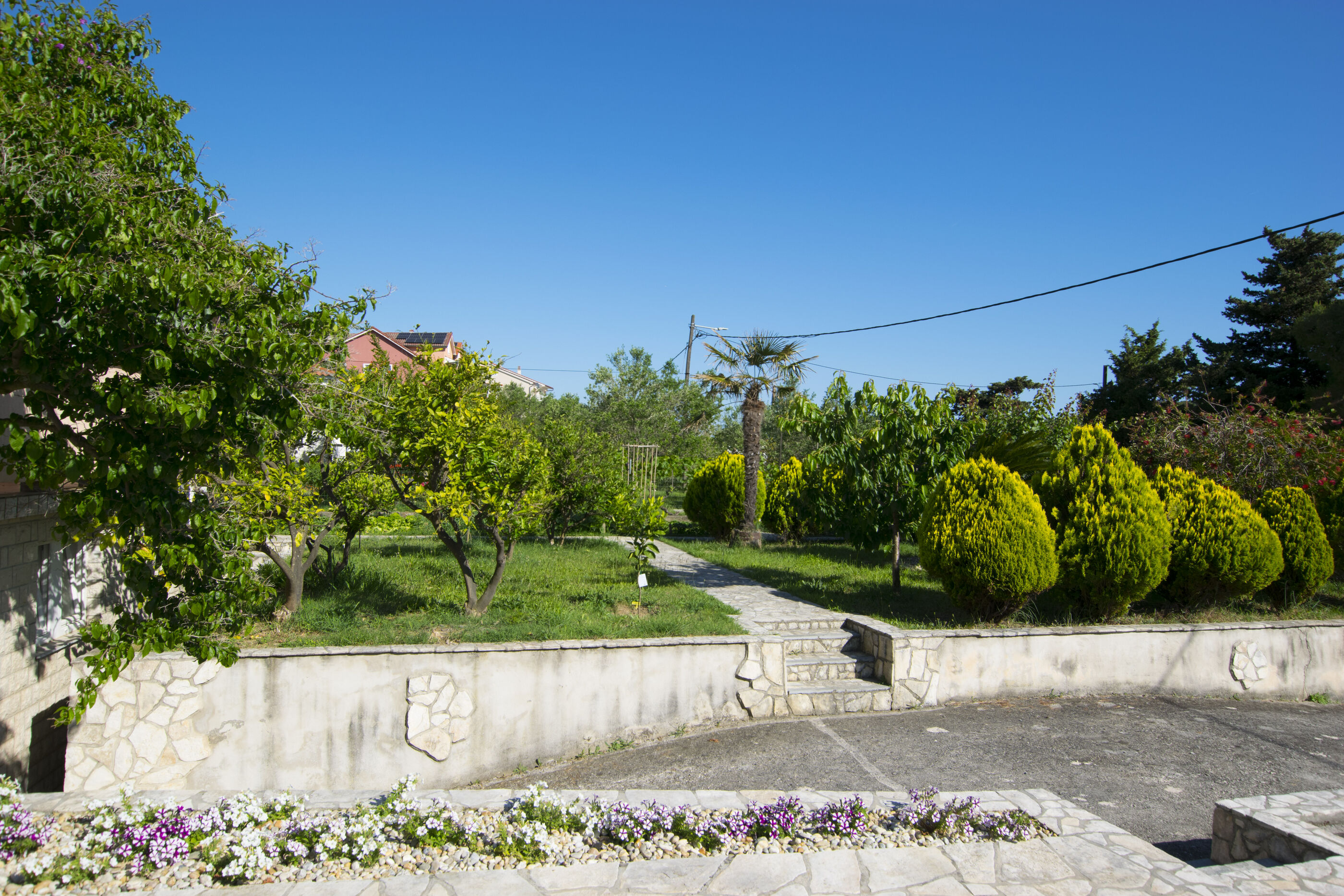 Photo of Apartments Lucia