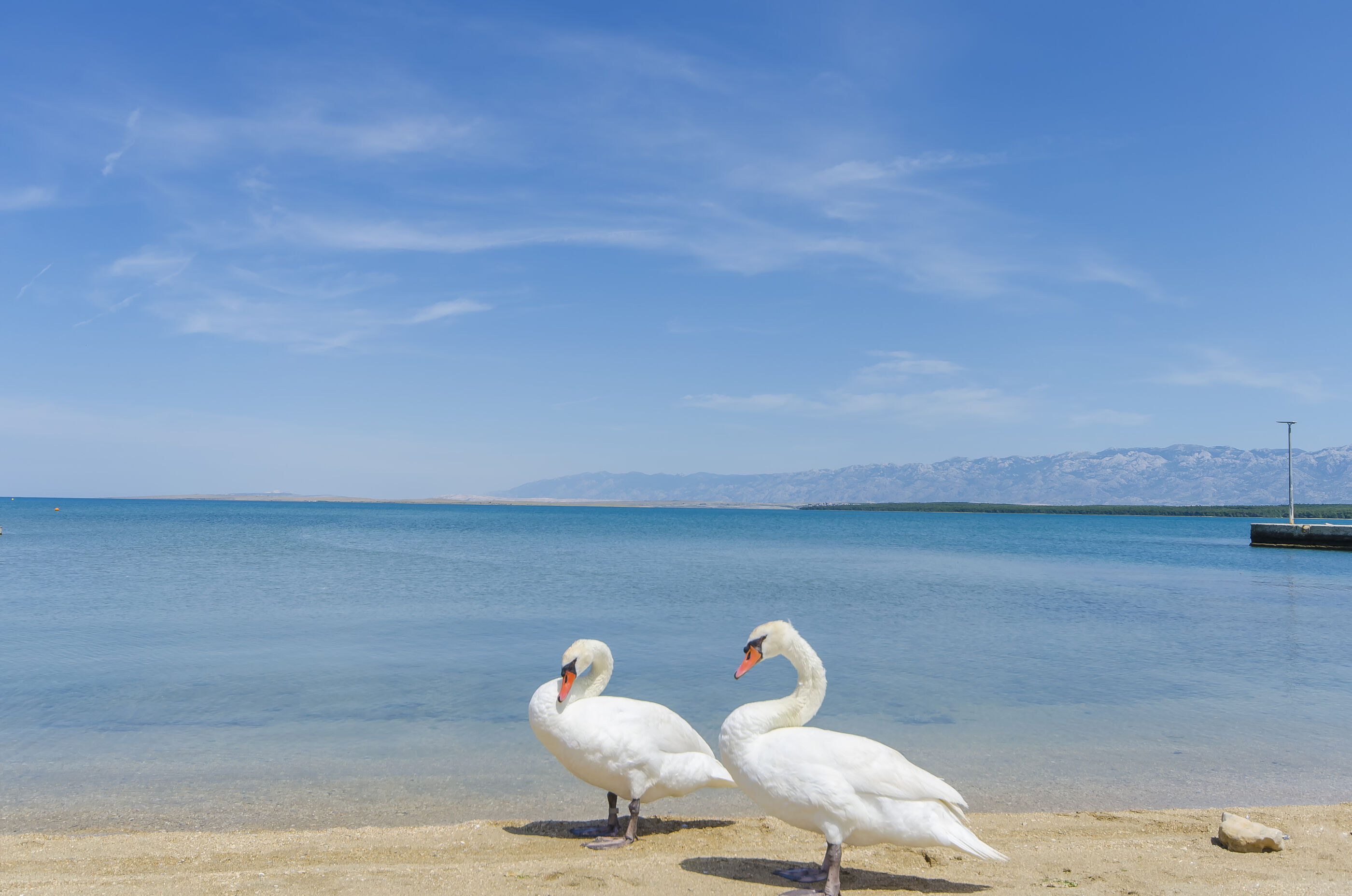 Photo of Apartments Mirjana