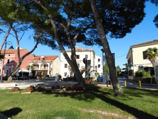 Photo of Apartments Radomir