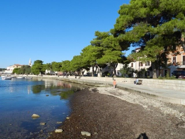 Photo of Apartments Radomir