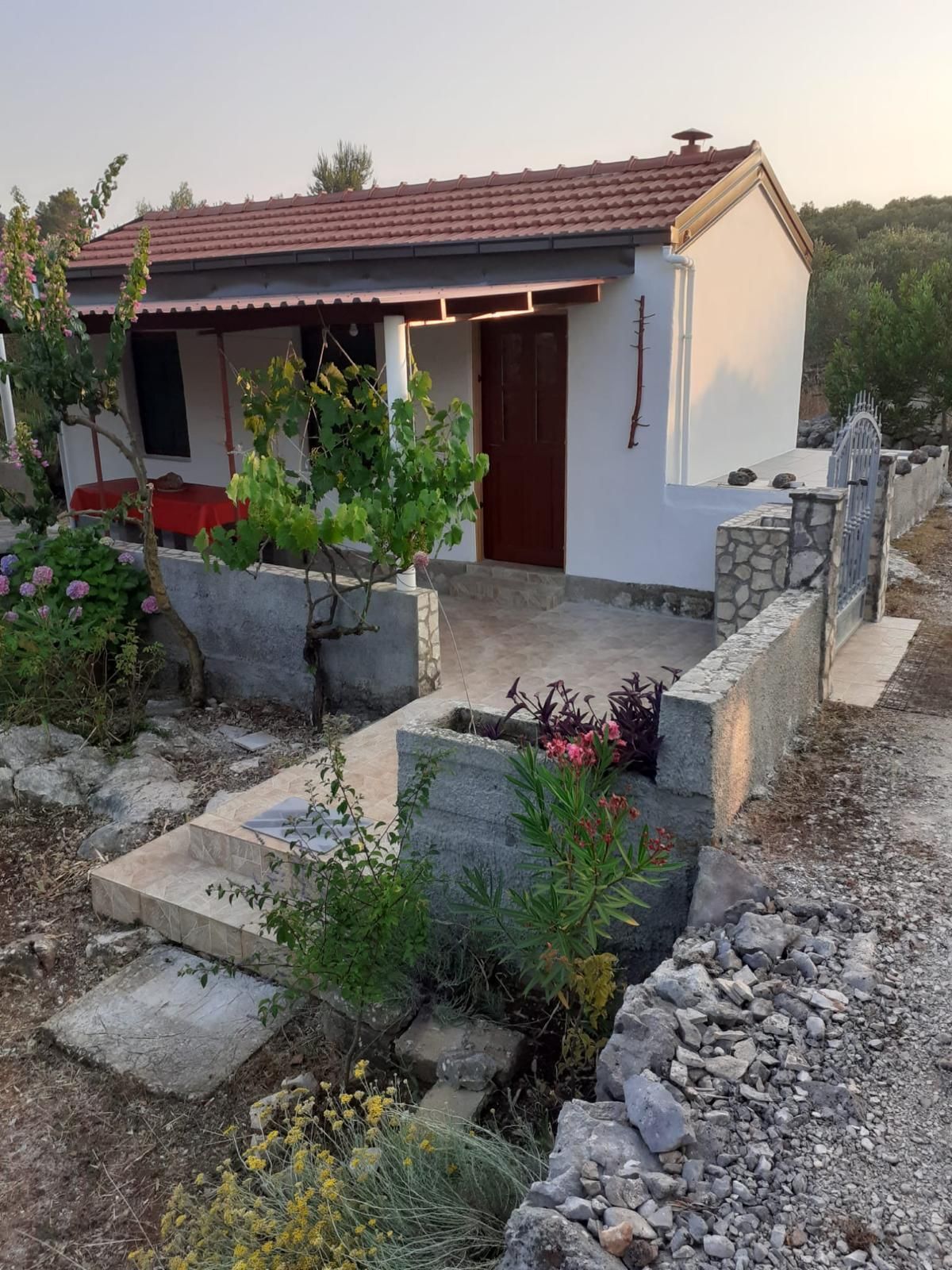 Photo of House Senka1