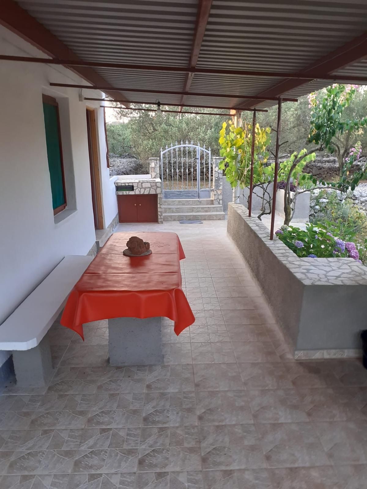 Photo of House Senka1