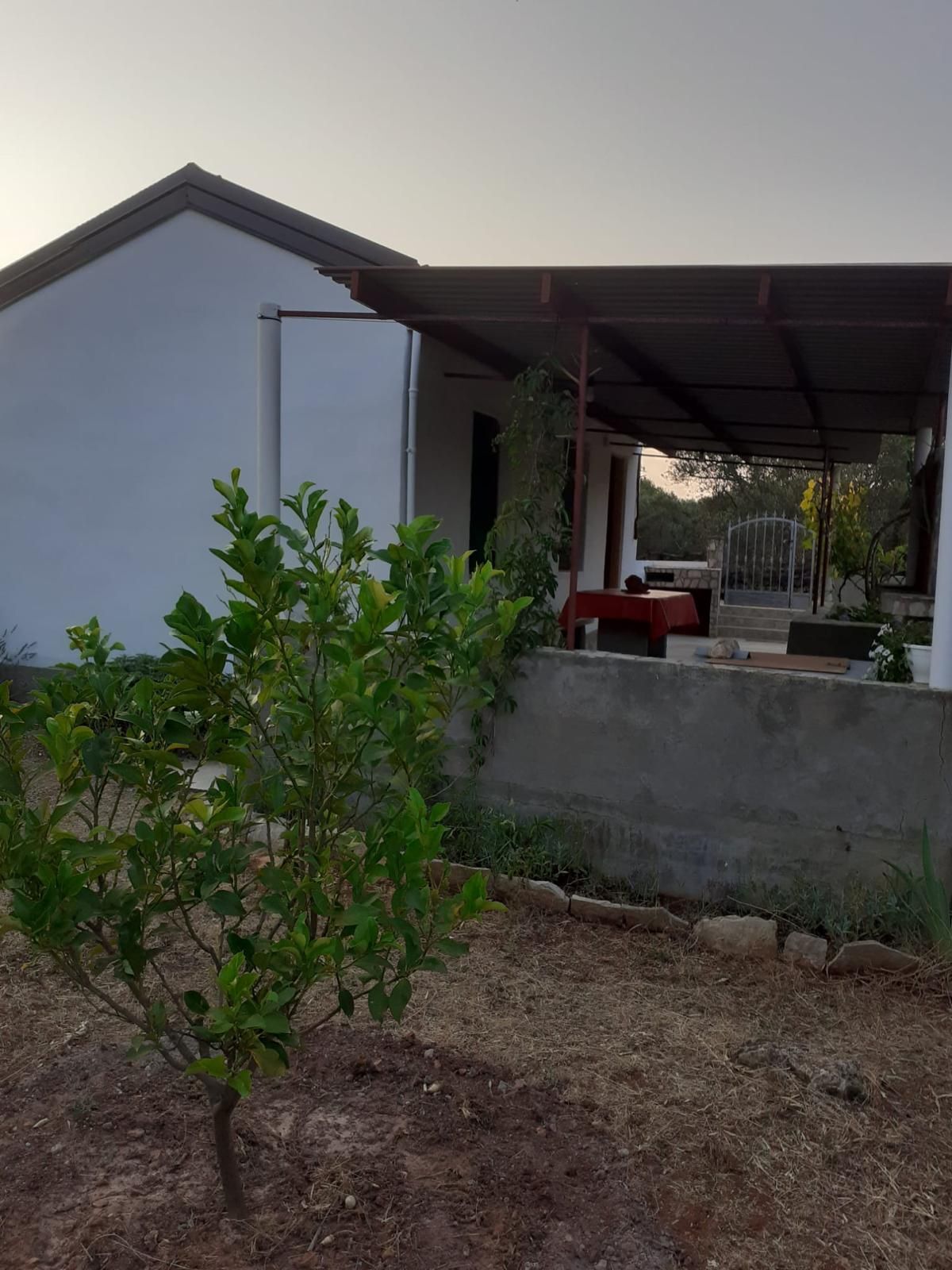 Photo of House Senka1