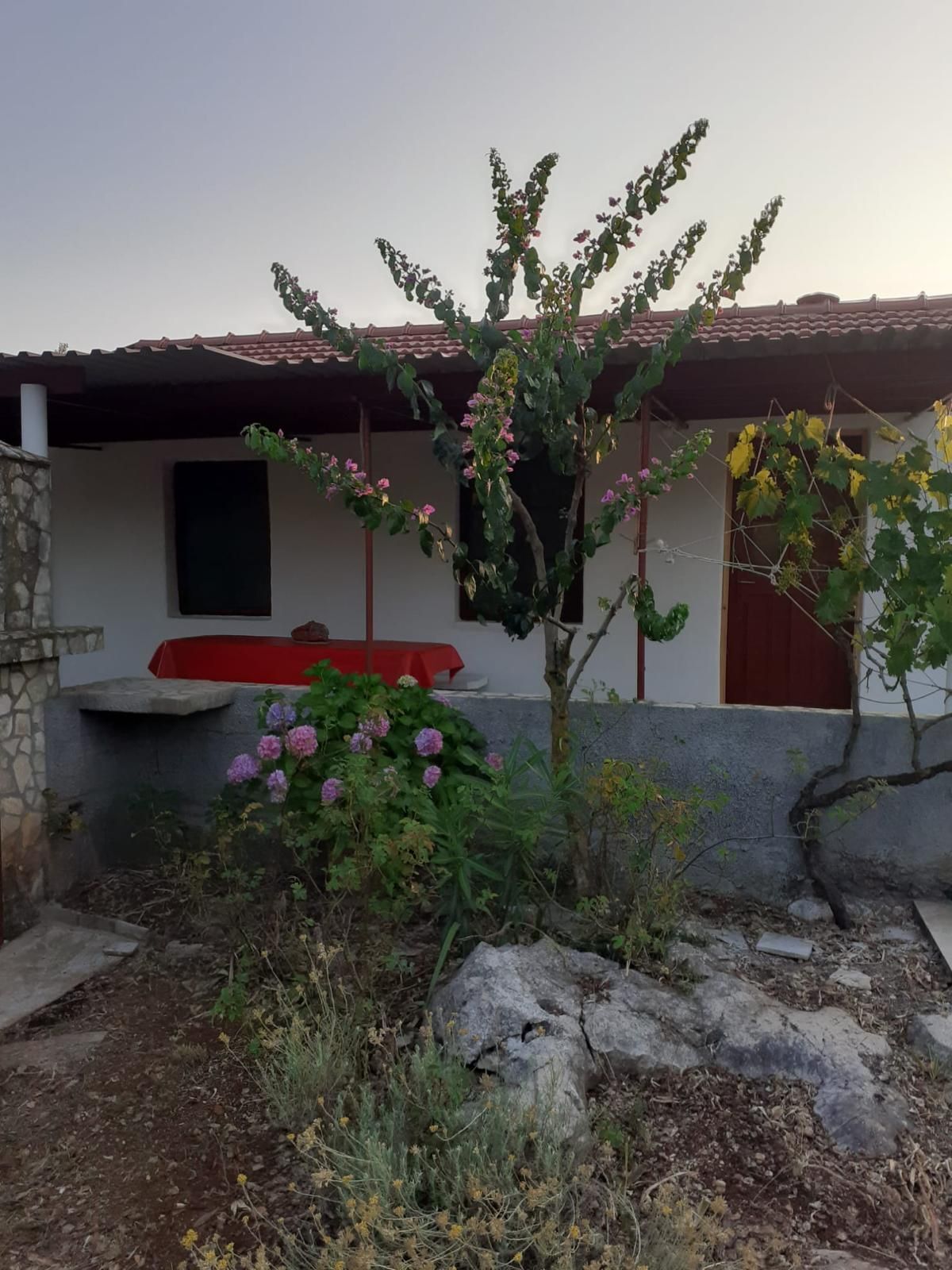 Photo of House Senka1