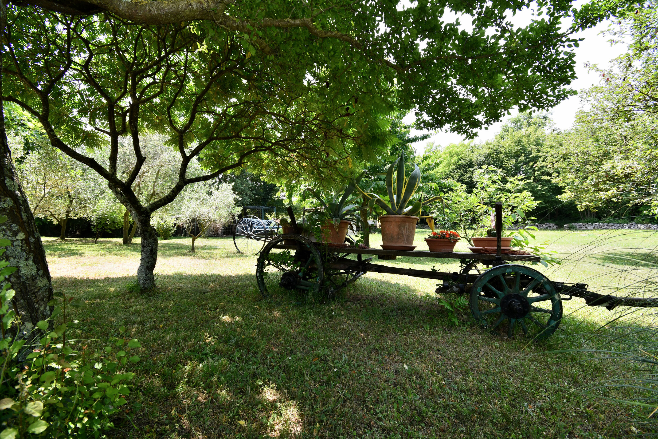 Photo of Apartment Lucija