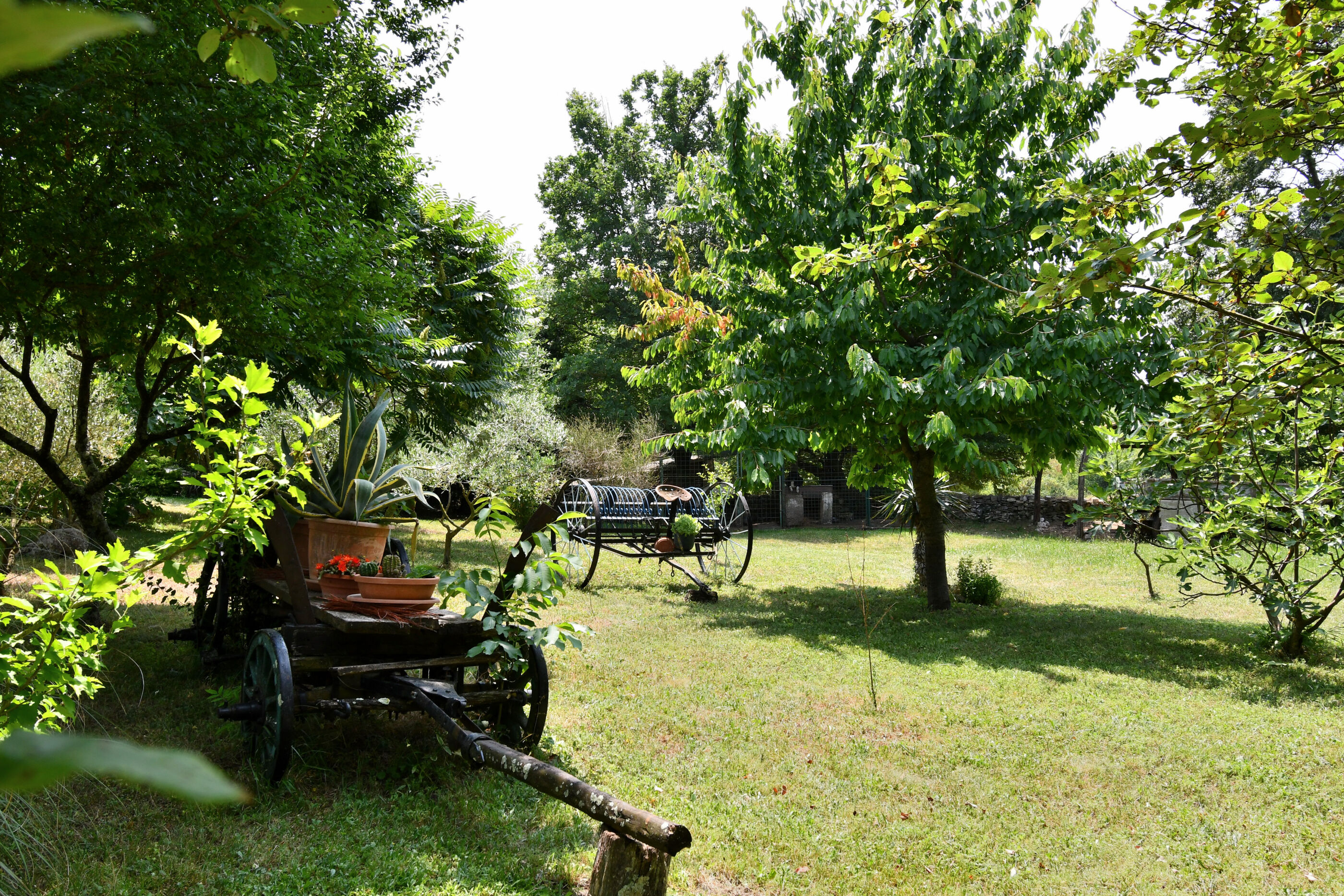 Photo of Apartment Lucija