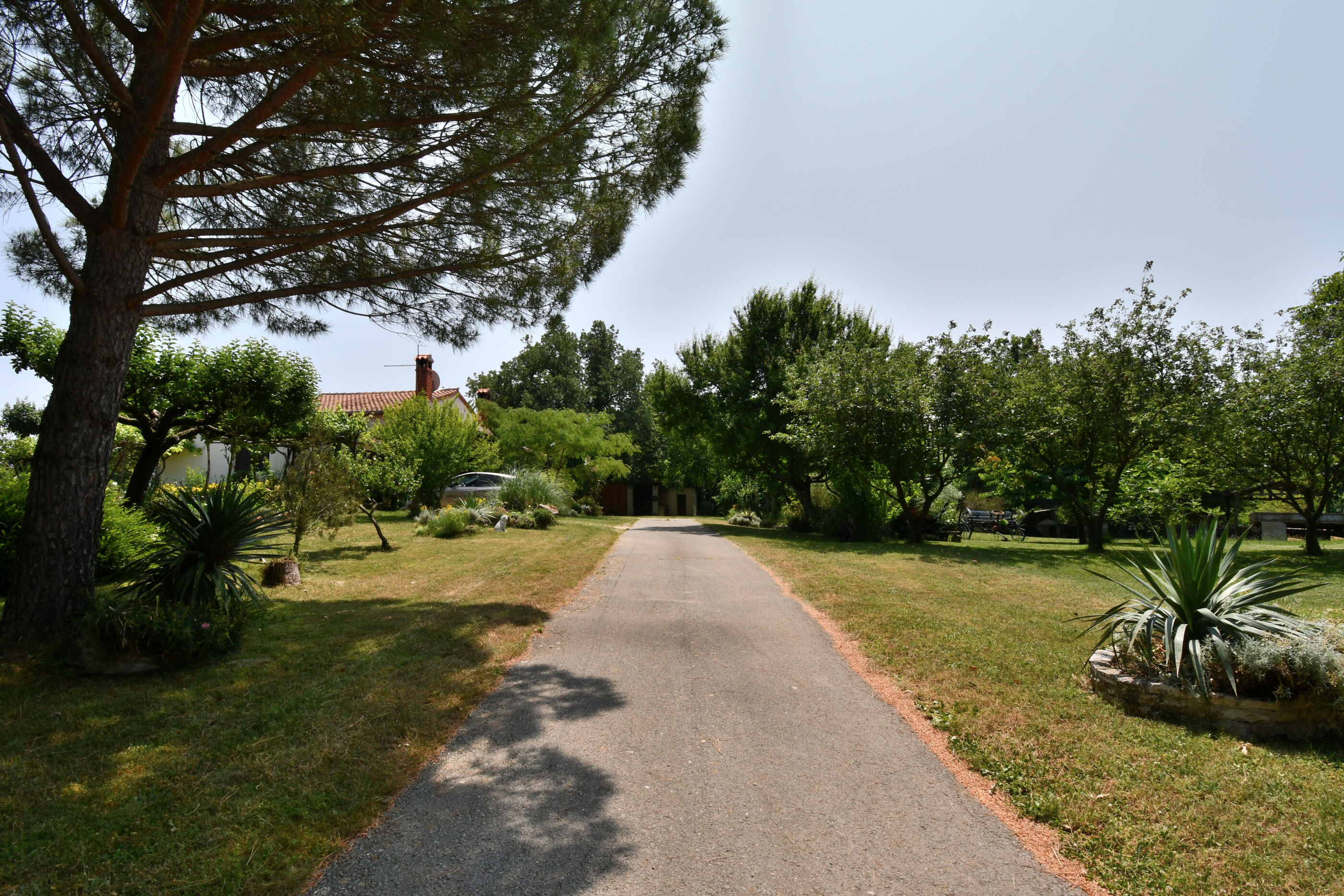 Photo of Apartment Lucija