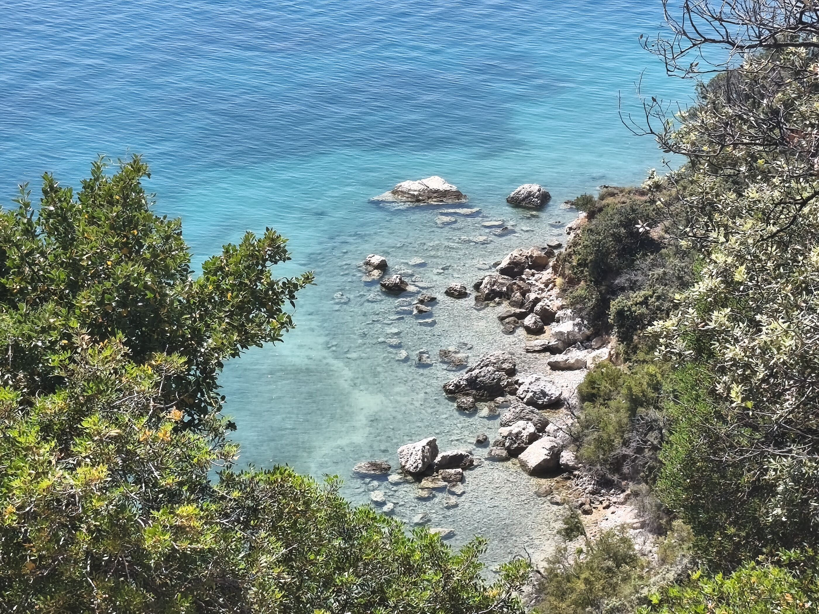 Photo of Apartments Hari