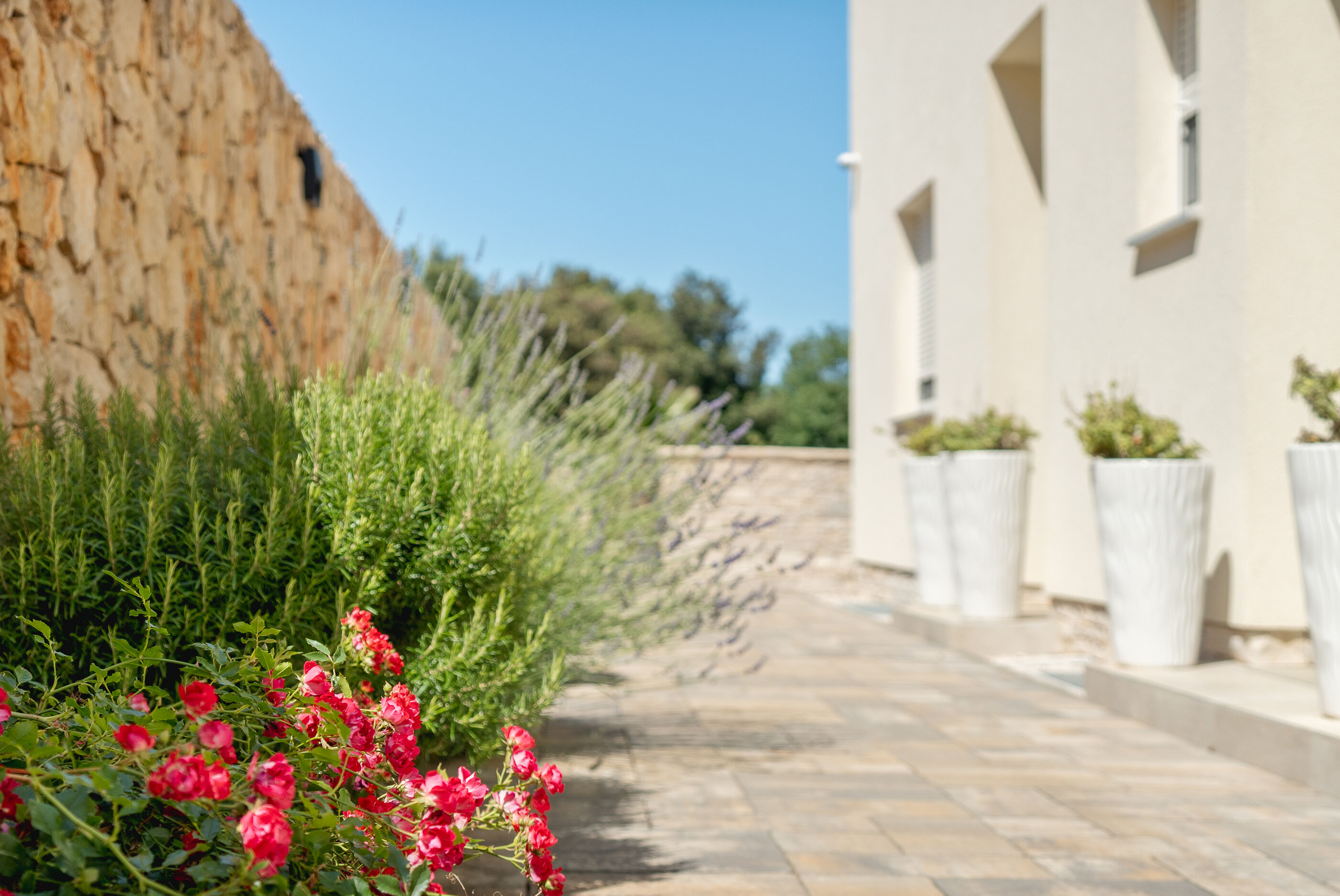 Photo of Apartments Antonija and Robert