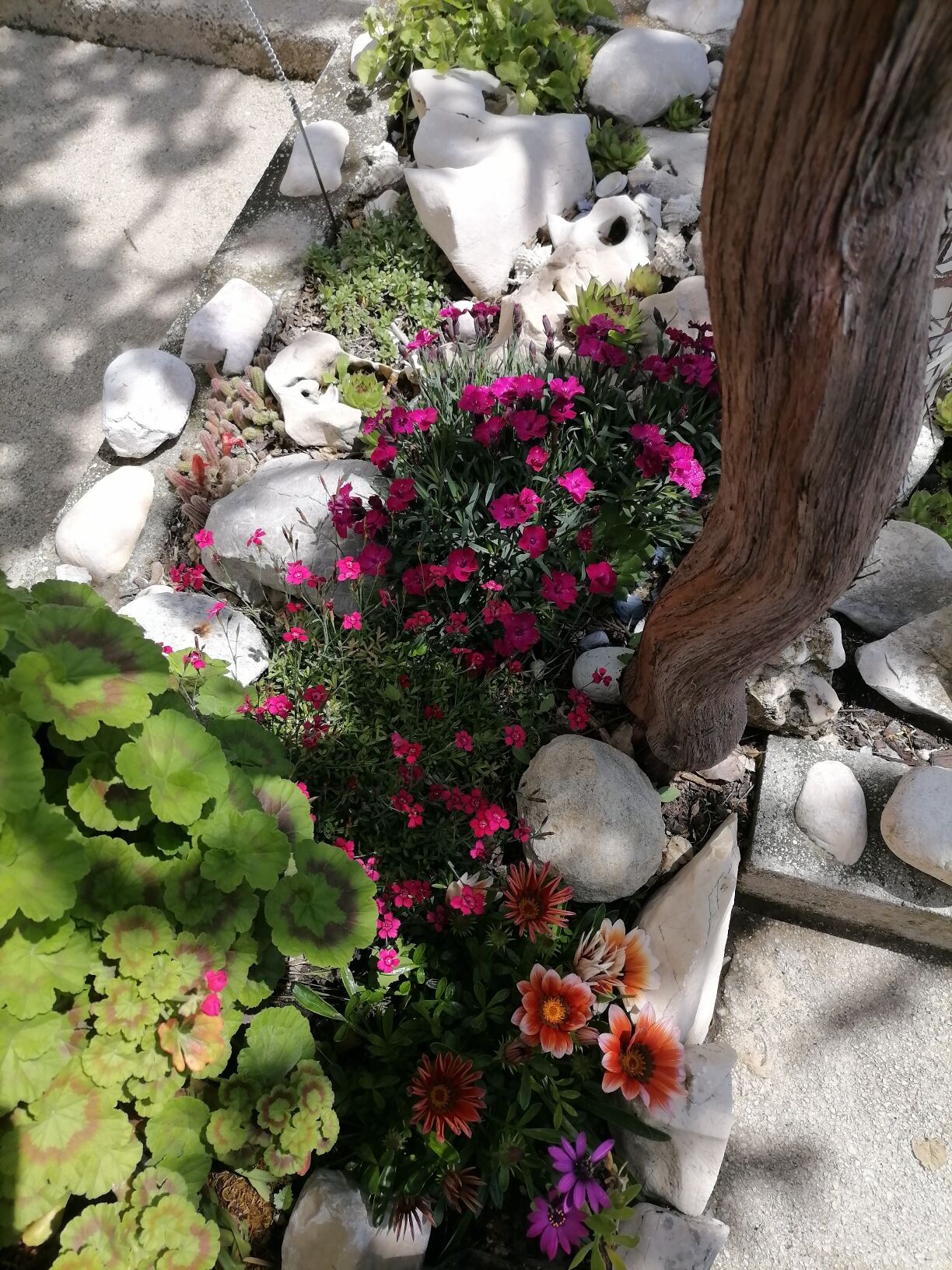 Photo of Apartments Poldan