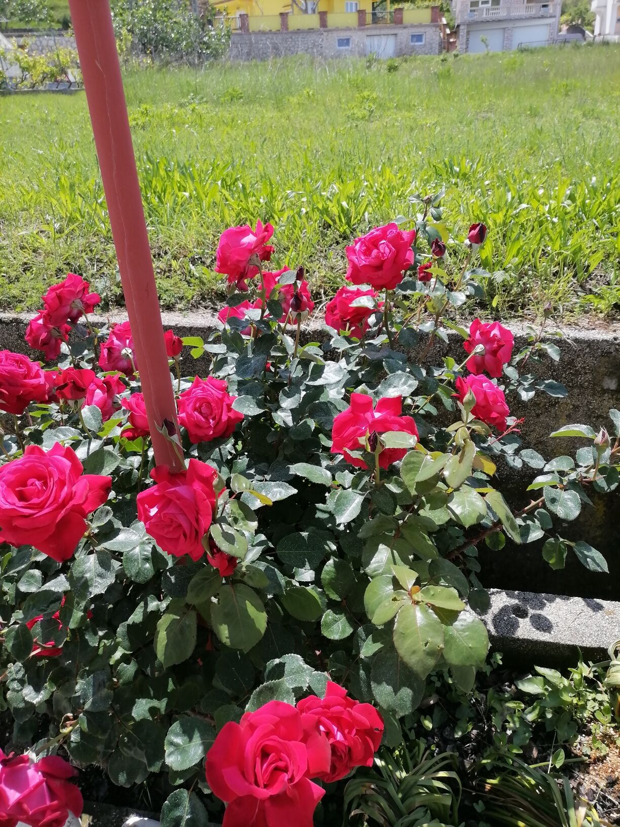 Photo of Apartments Poldan