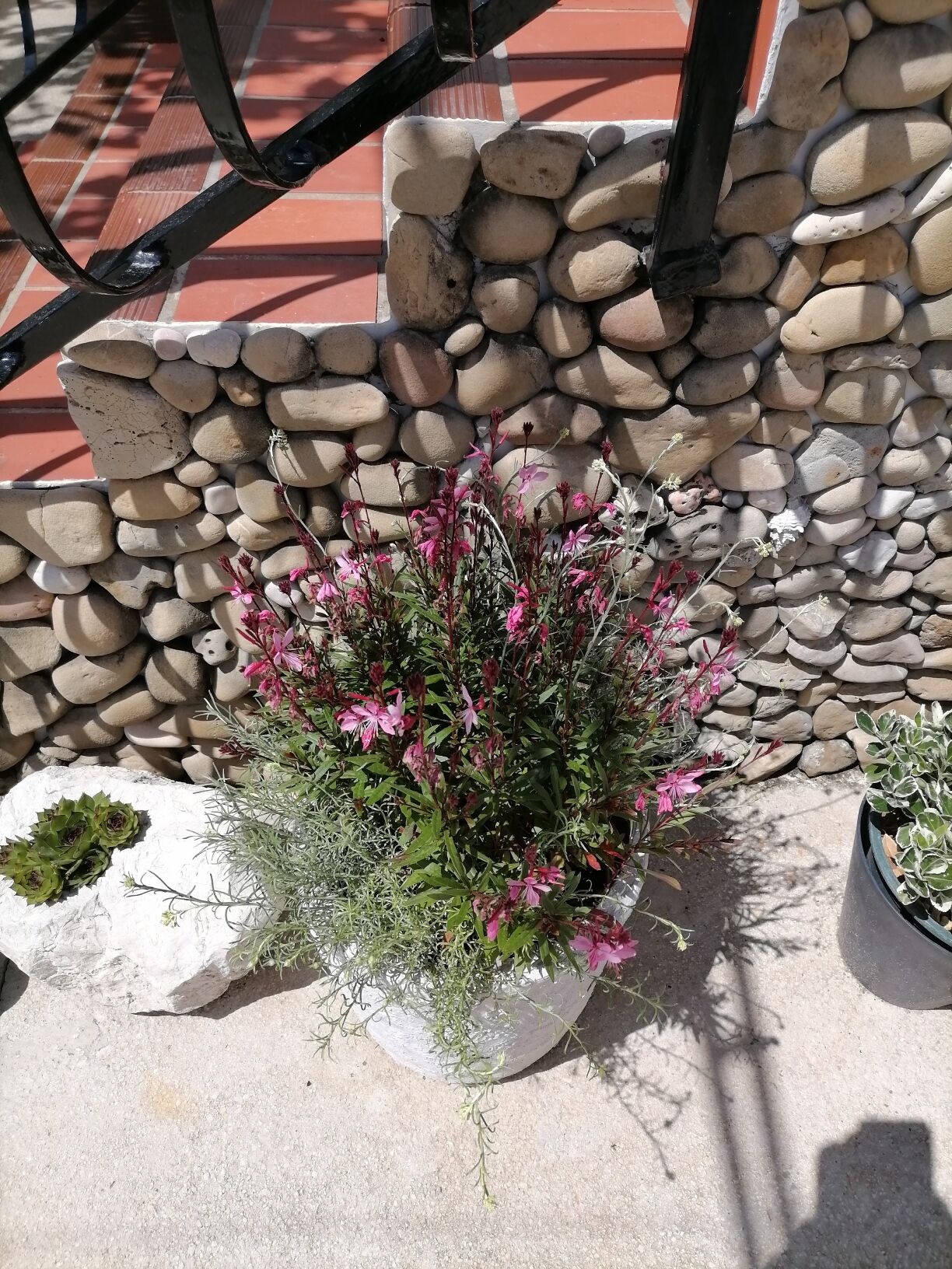 Photo of Apartments Poldan