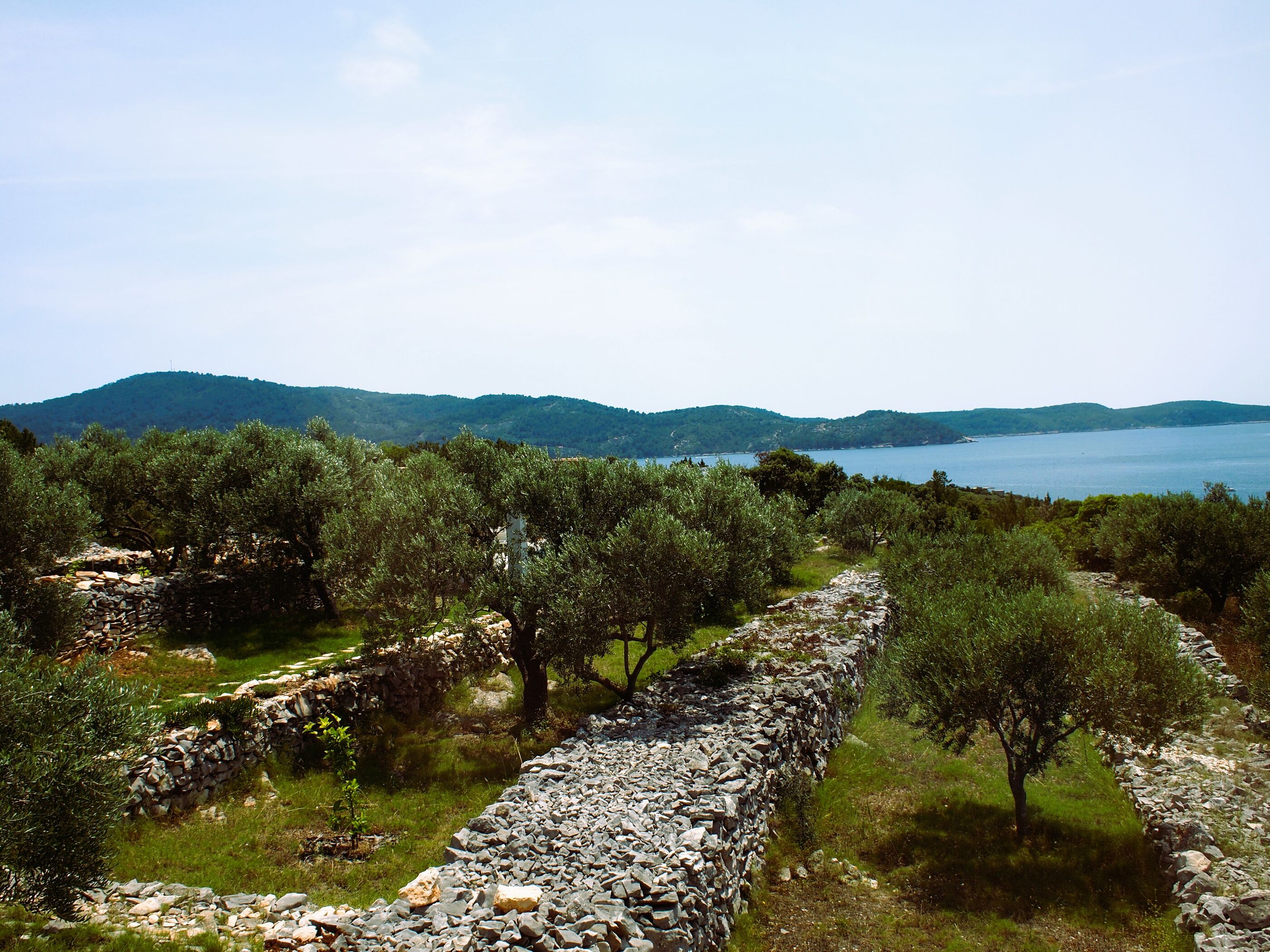 Photo of House villa Korcula