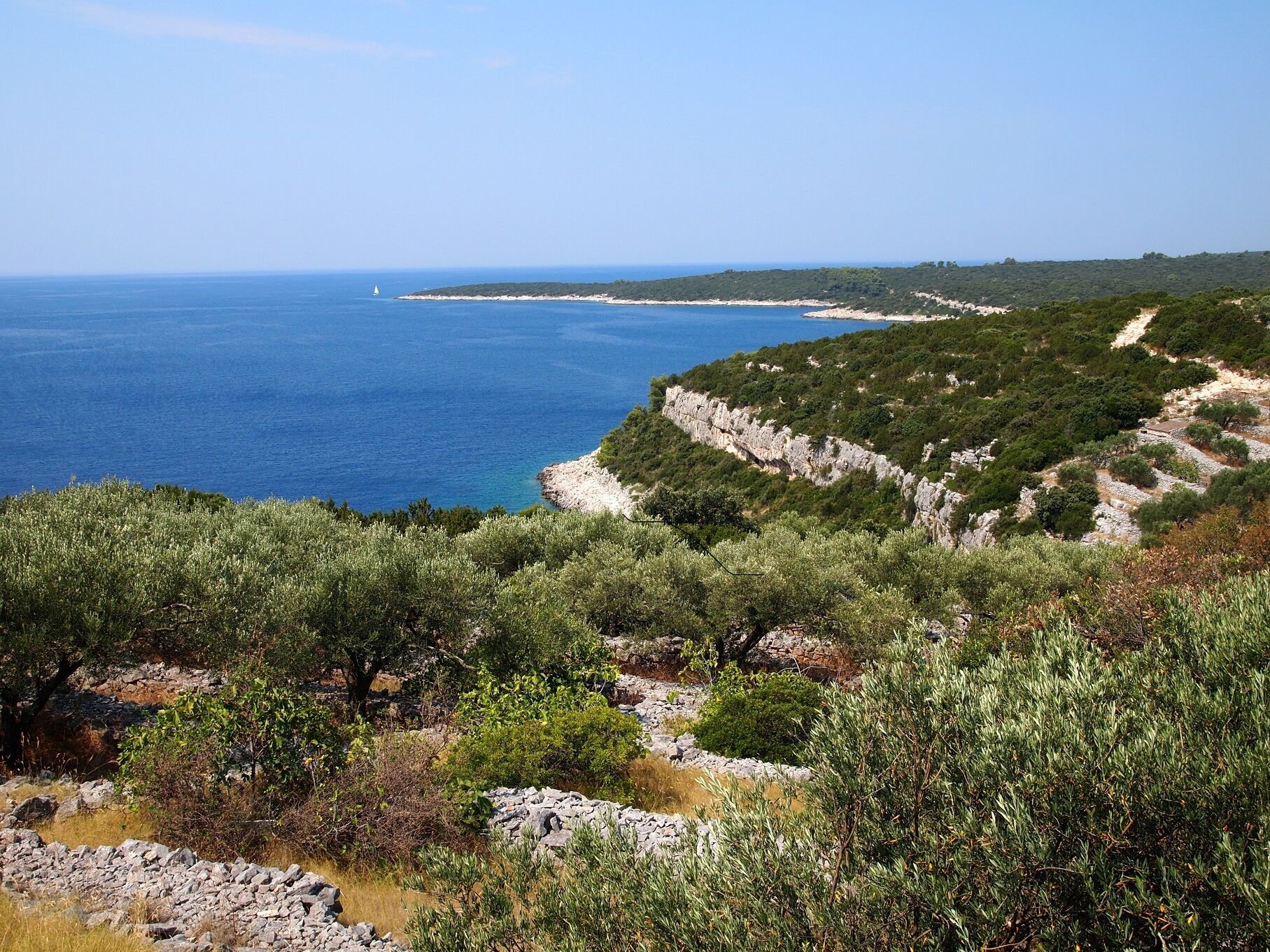 Photo of House villa Korcula