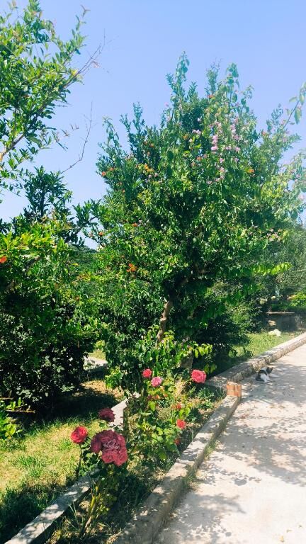 Photo of House Solis